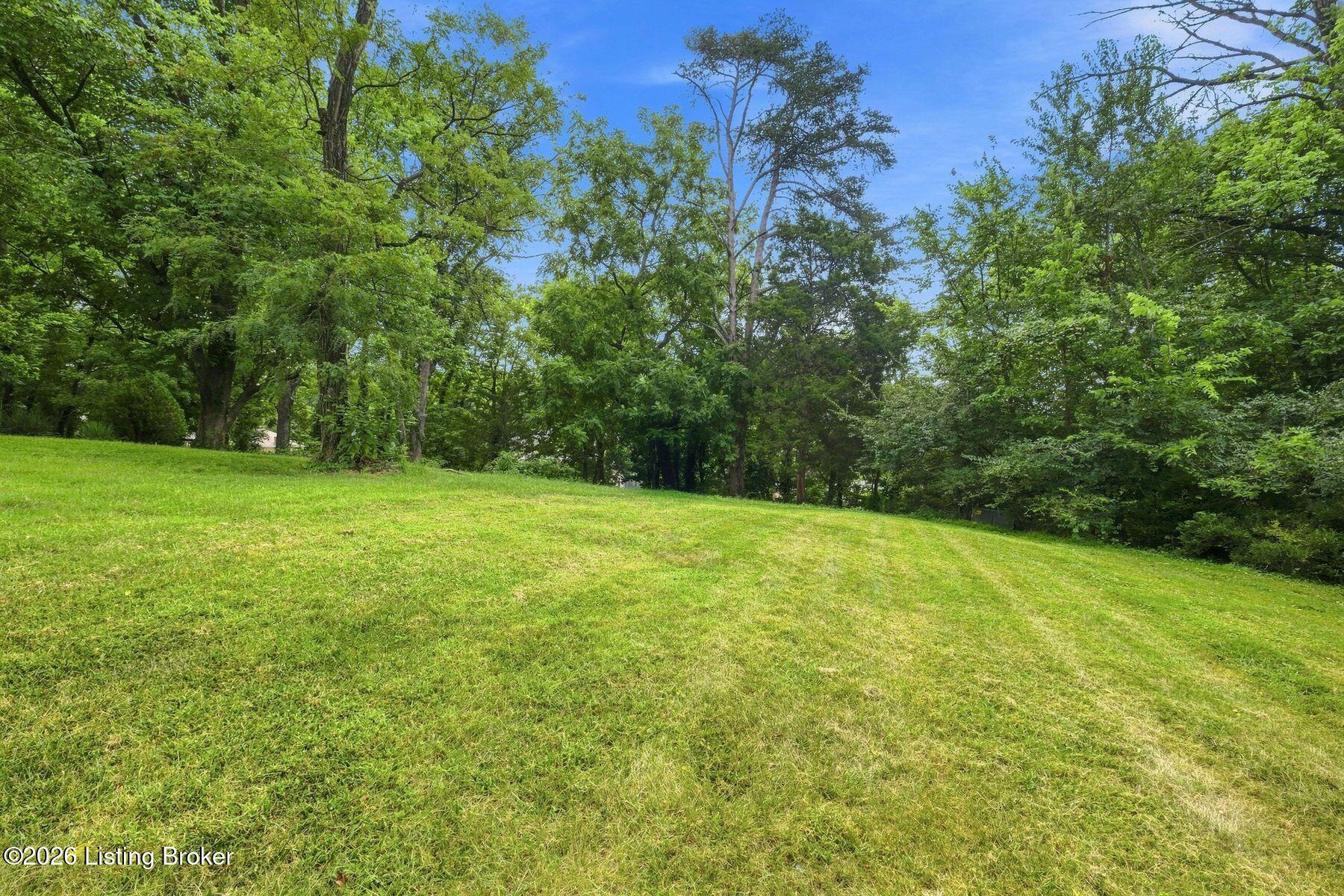 1510 Sylvan Way Property Photo 10