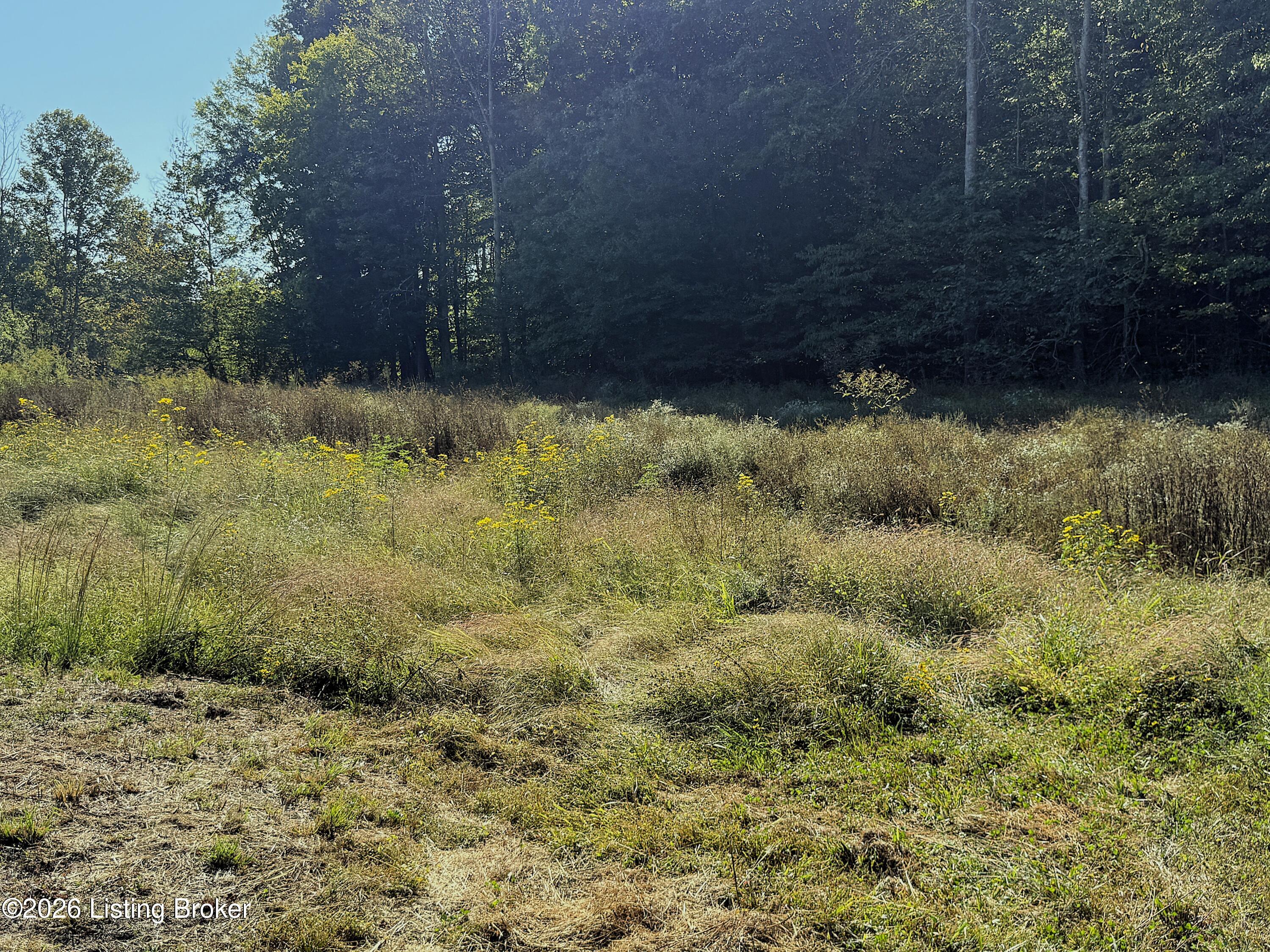 2902 Woods Creek Rd Property Photo 89