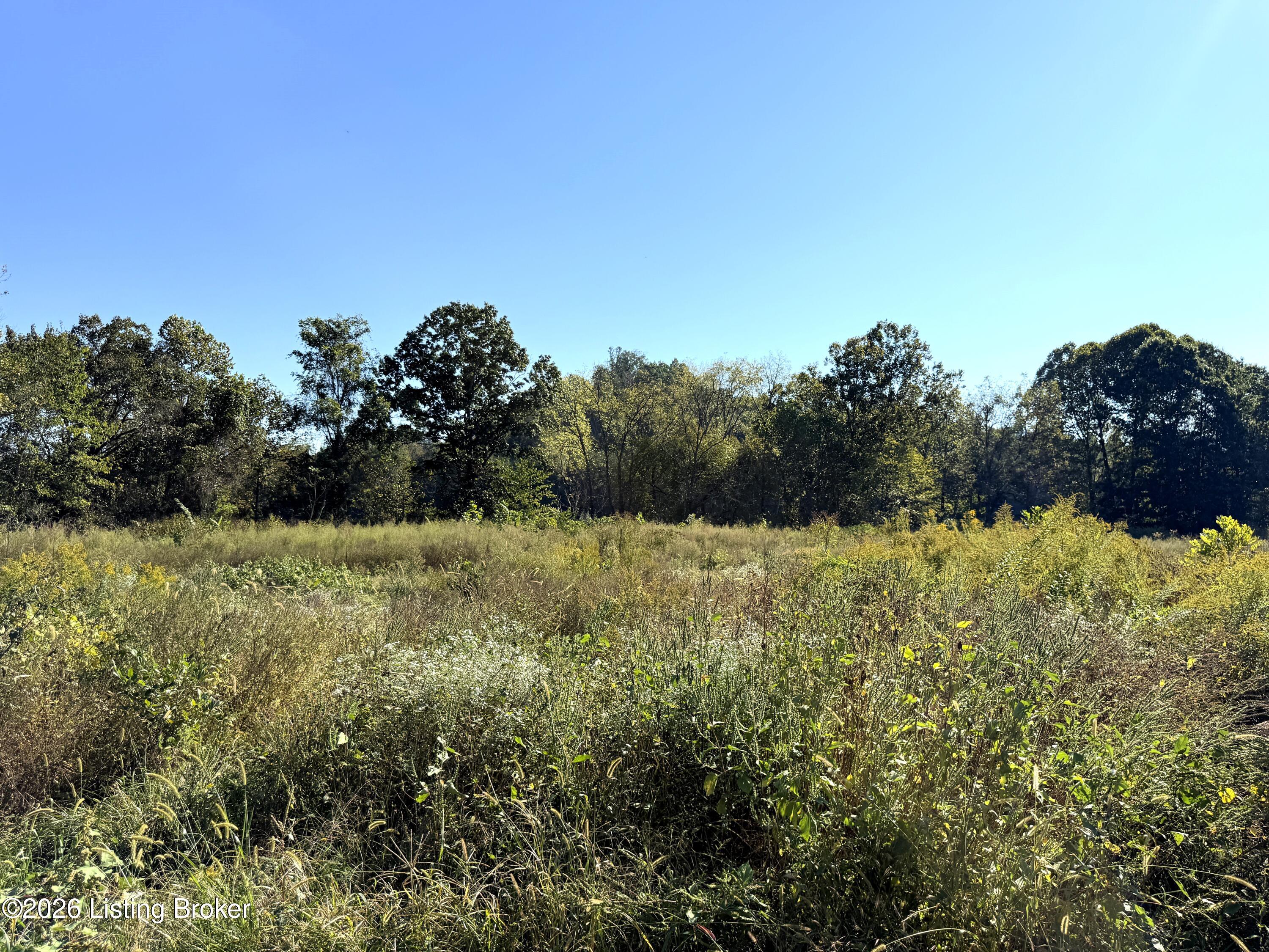 2902 Woods Creek Rd Property Photo 90