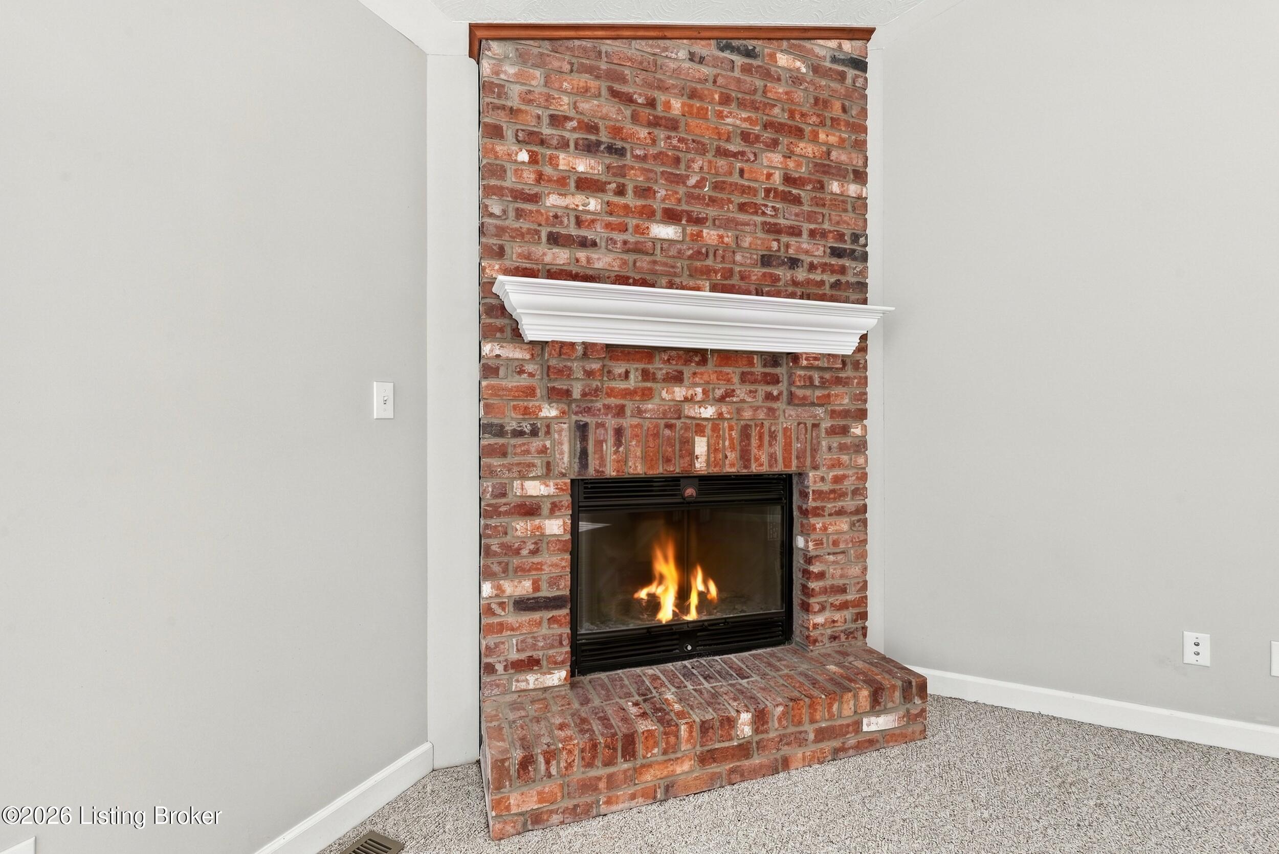 2010 Clarke Pointe Dr Property Photo 9