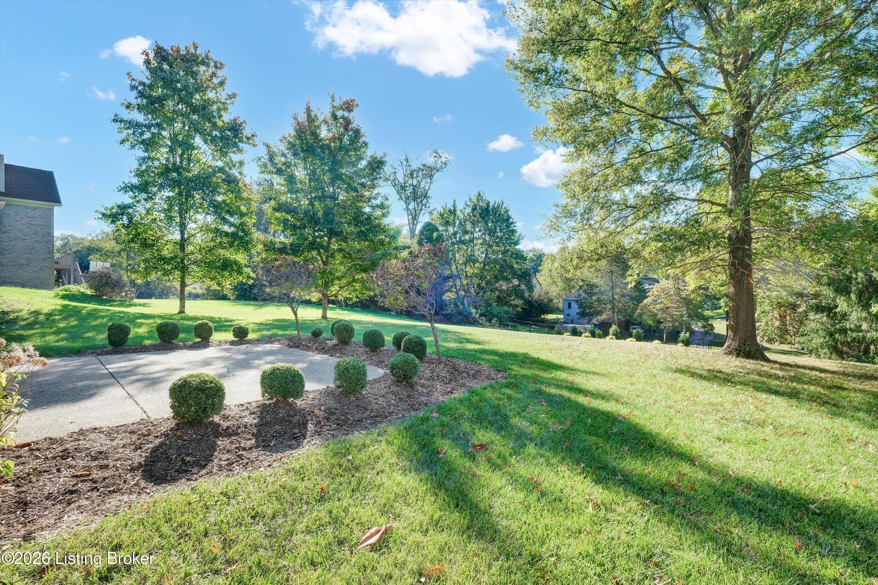 12805 Deer Cross Dr Property Photo 45