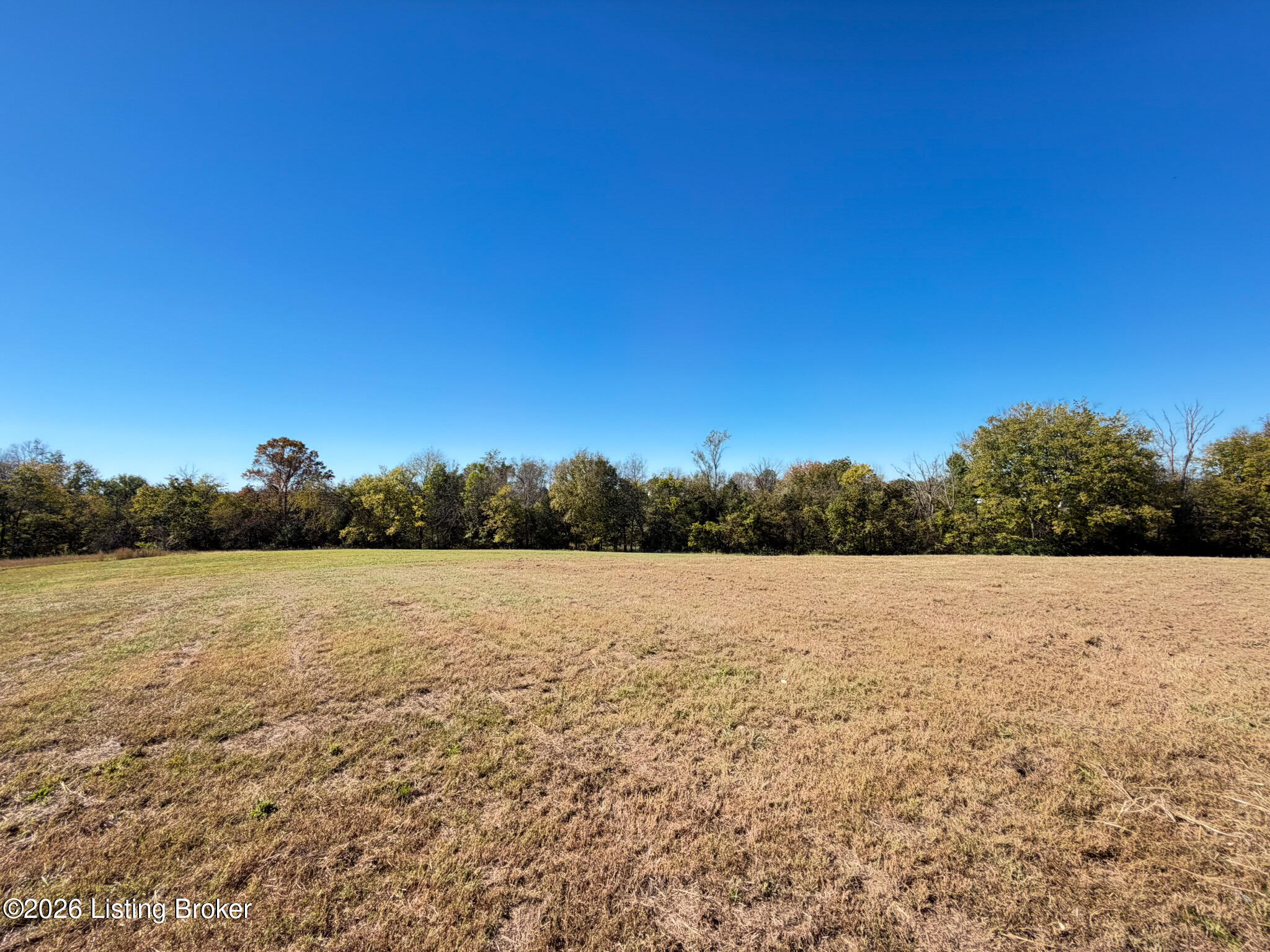 10188 Mt Eden Rd Property Photo 37