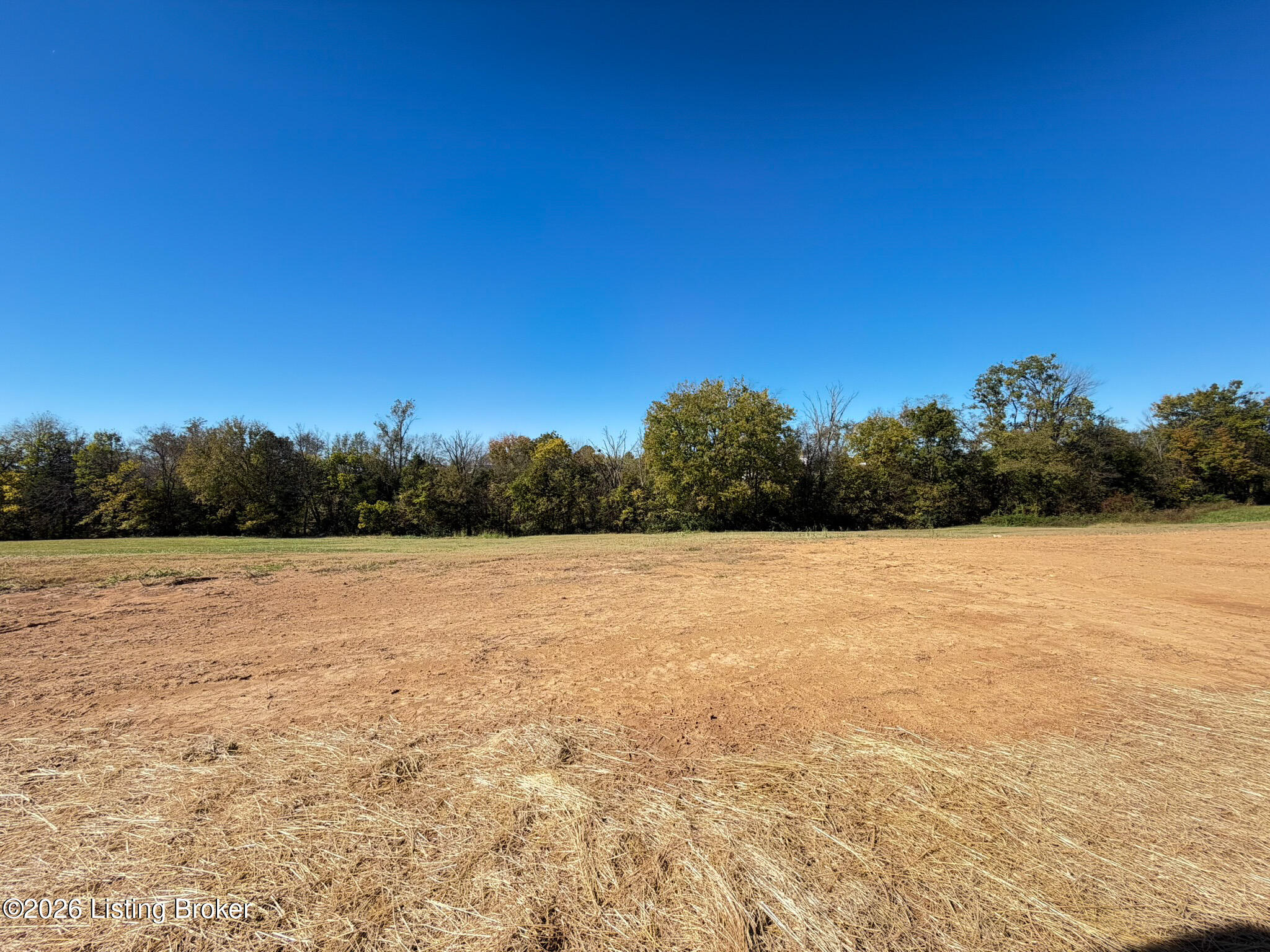 10188 Mt Eden Rd Property Photo 38