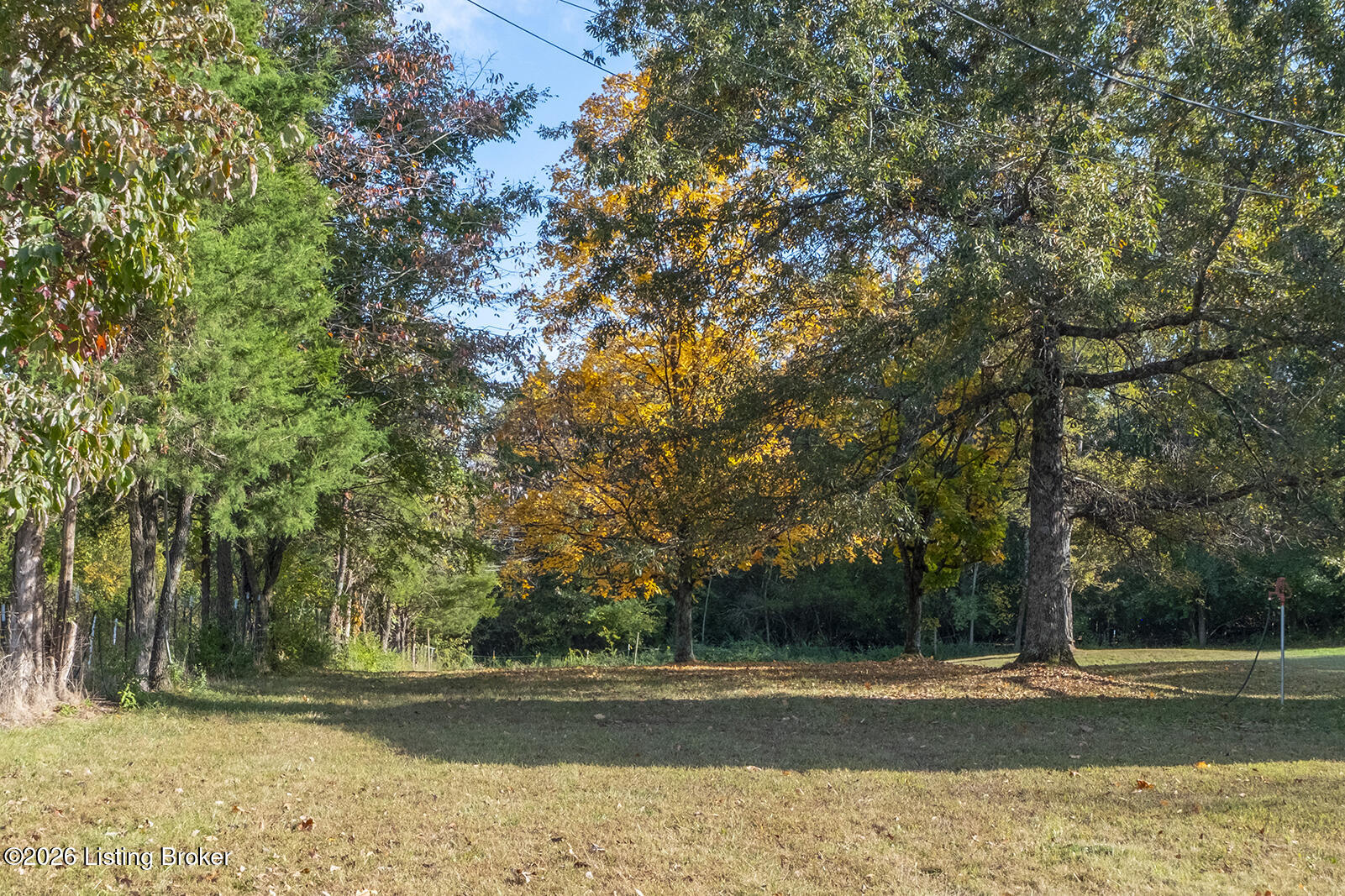 11408 Easum Rd Property Photo 36