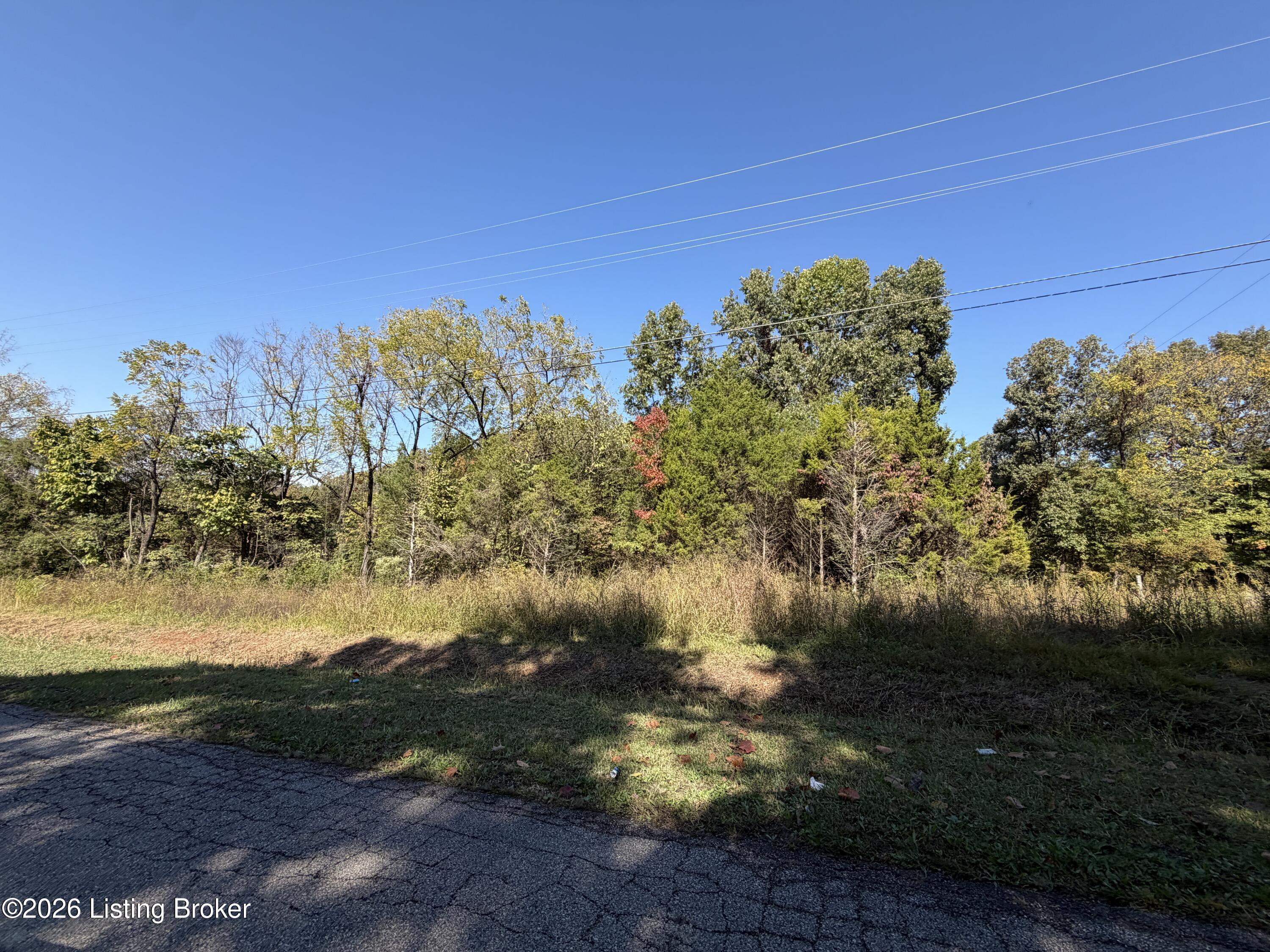 0 Jennings Knob Rd Property Photo 3