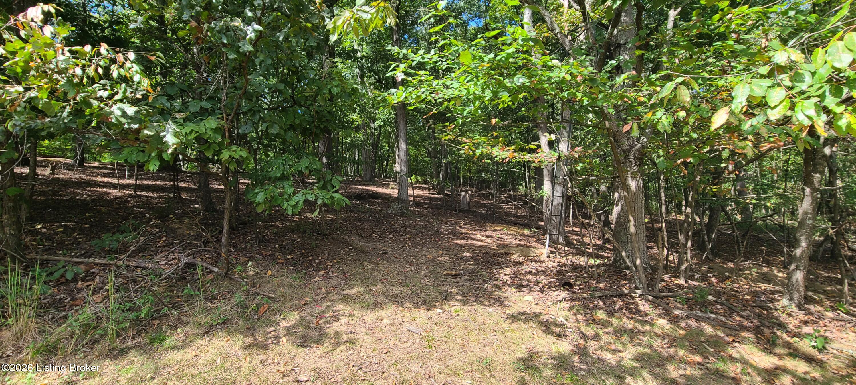 1099 Shady Ln Property Photo 47