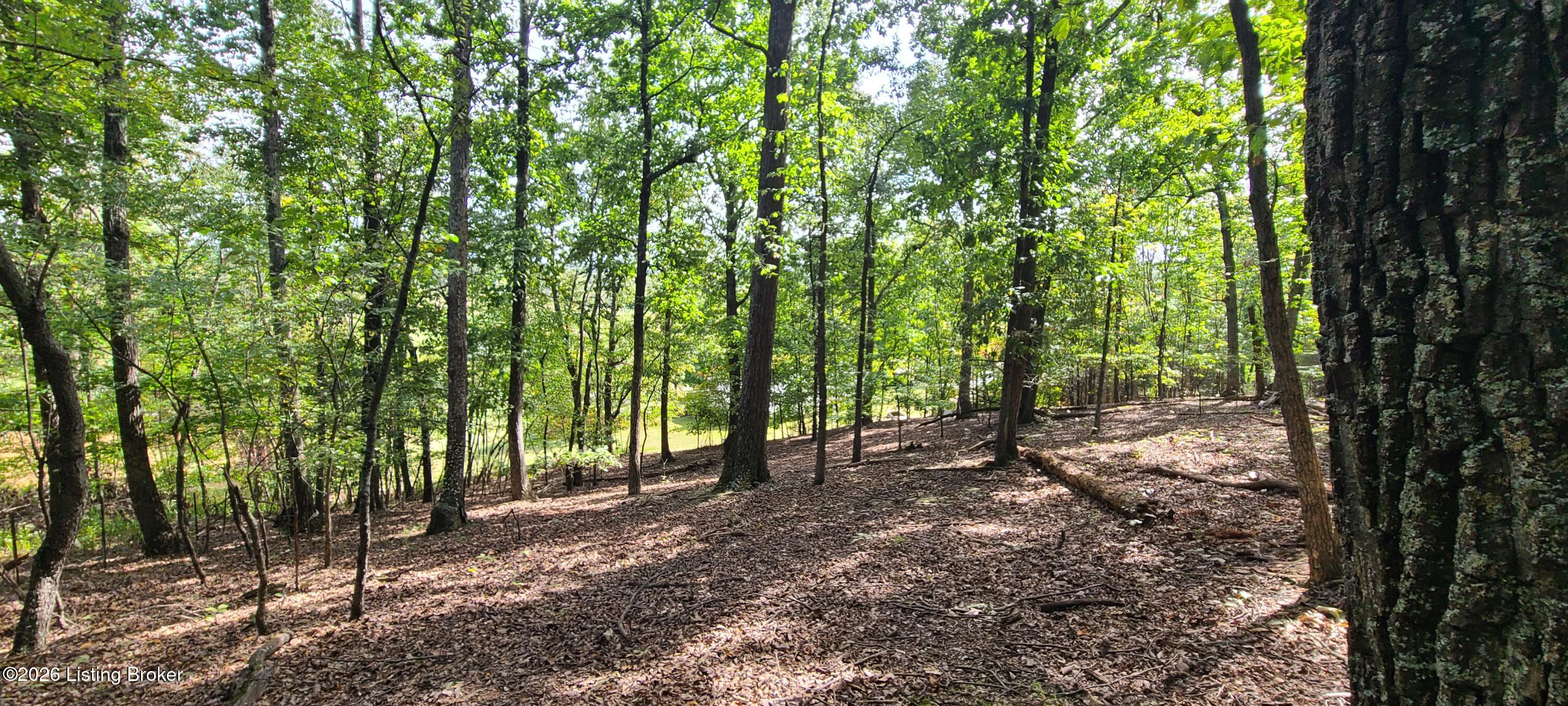 1099 Shady Ln Property Photo 53