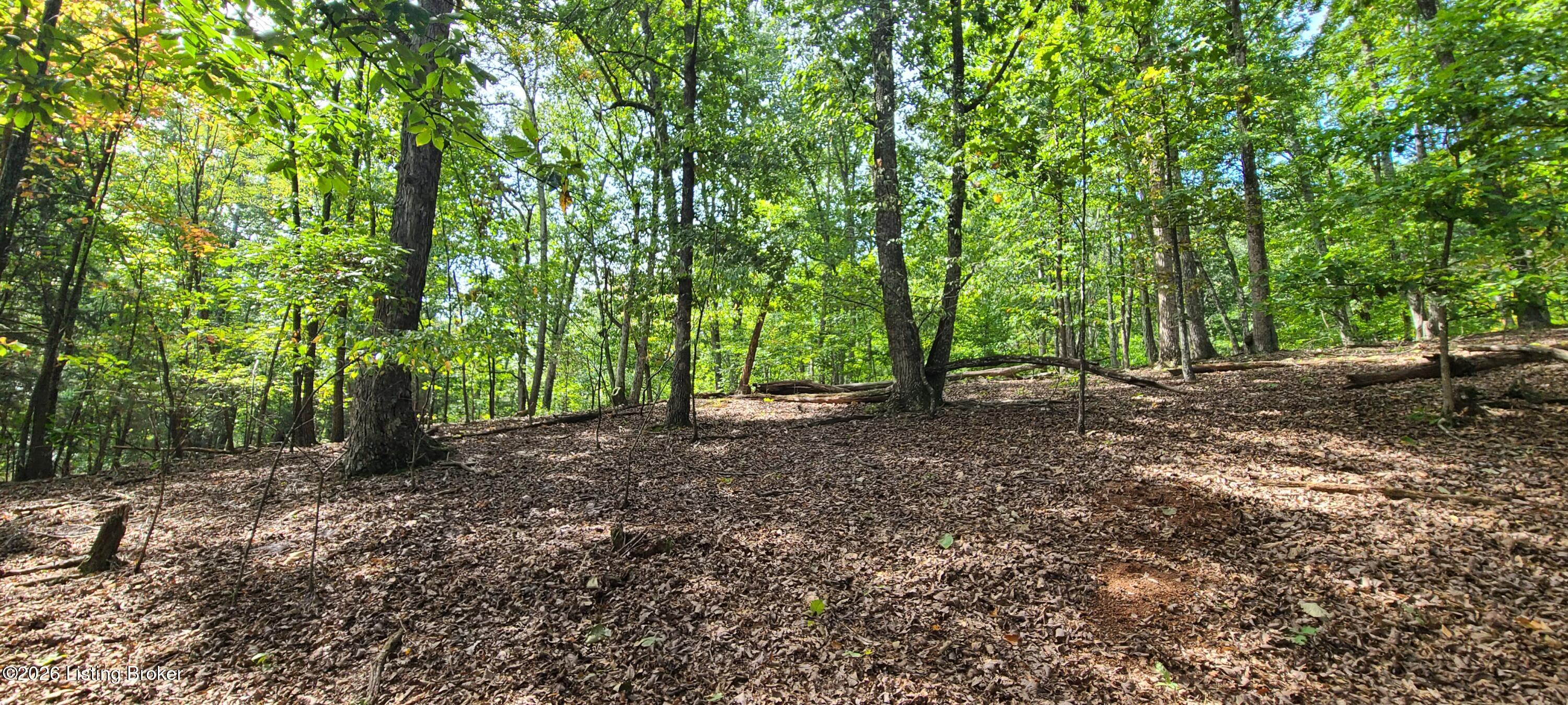 1099 Shady Ln Property Photo 57