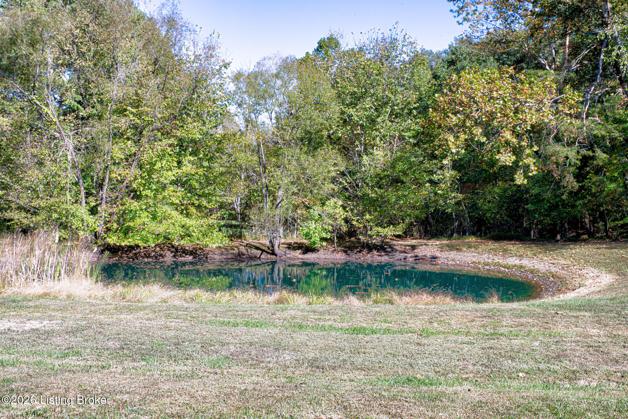 4837 Nat Rogers Rd Property Photo 41