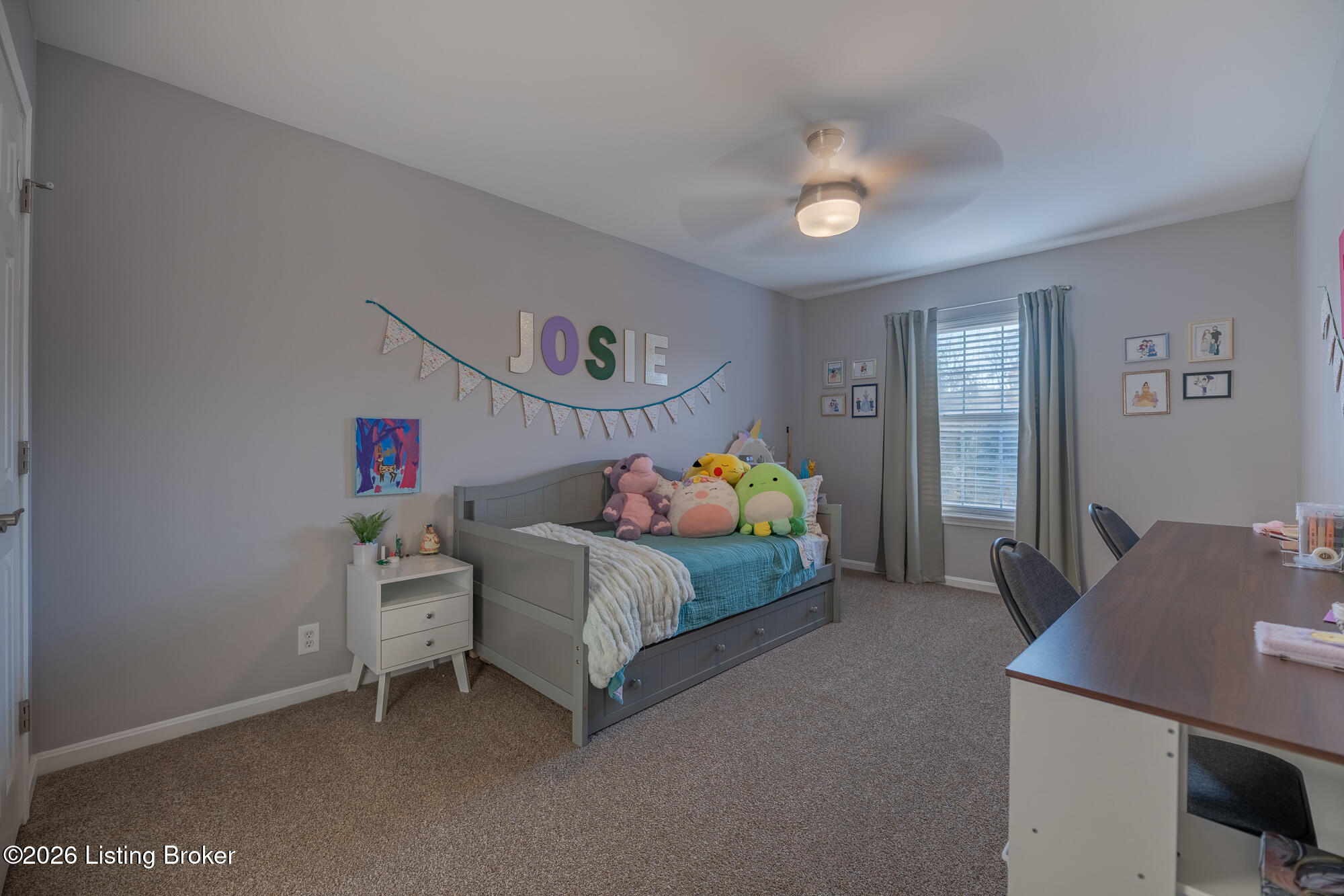 4507 Biles Ct Property Photo 17