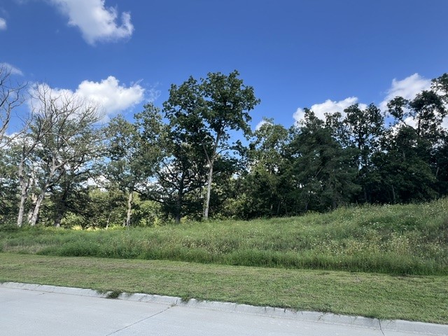 0 River Woods Lot 24 Drive Property Photo 1