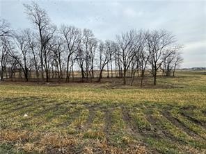 5321 173rd Street Property Photo 4