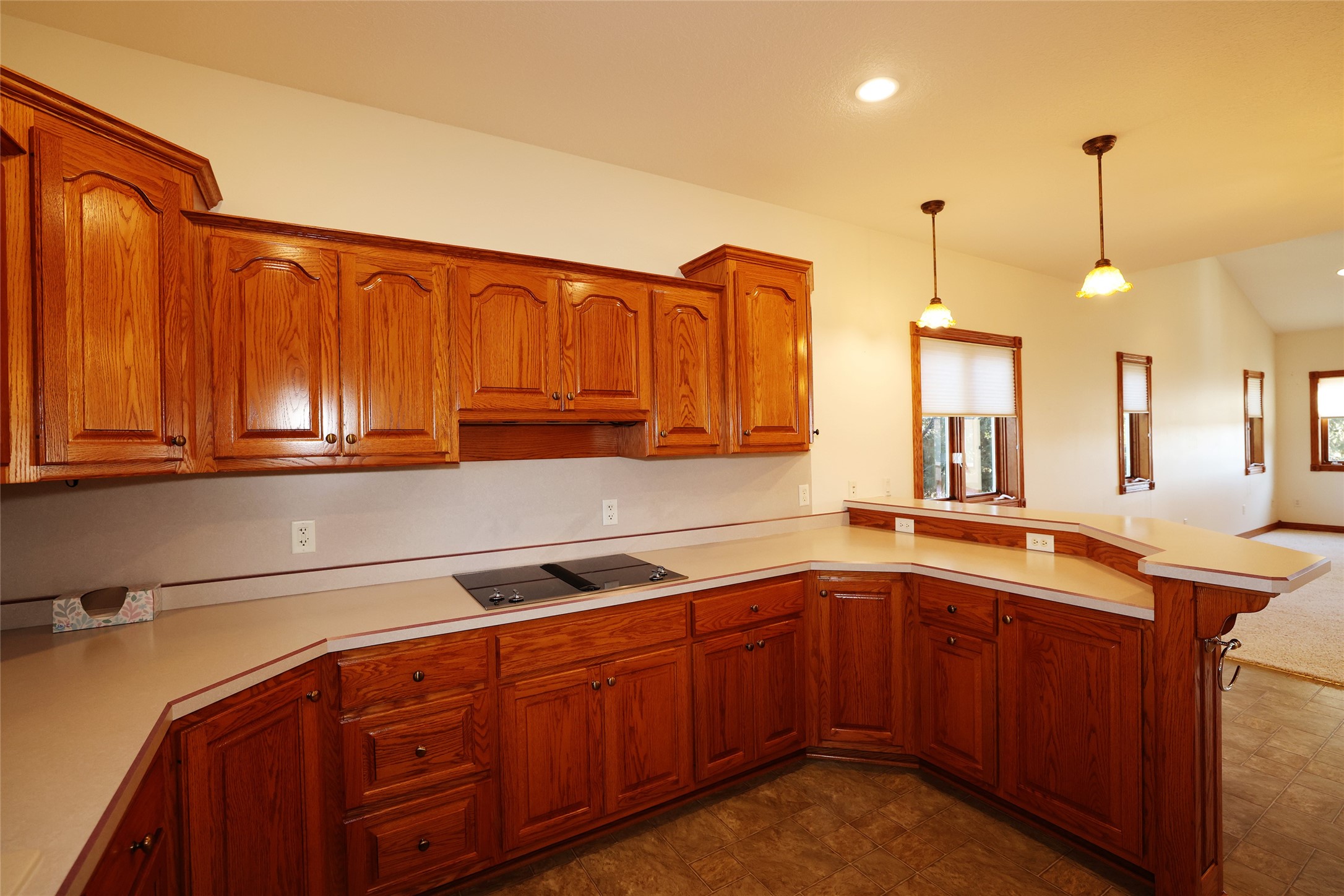 1314 Southview Court Property Photo 11