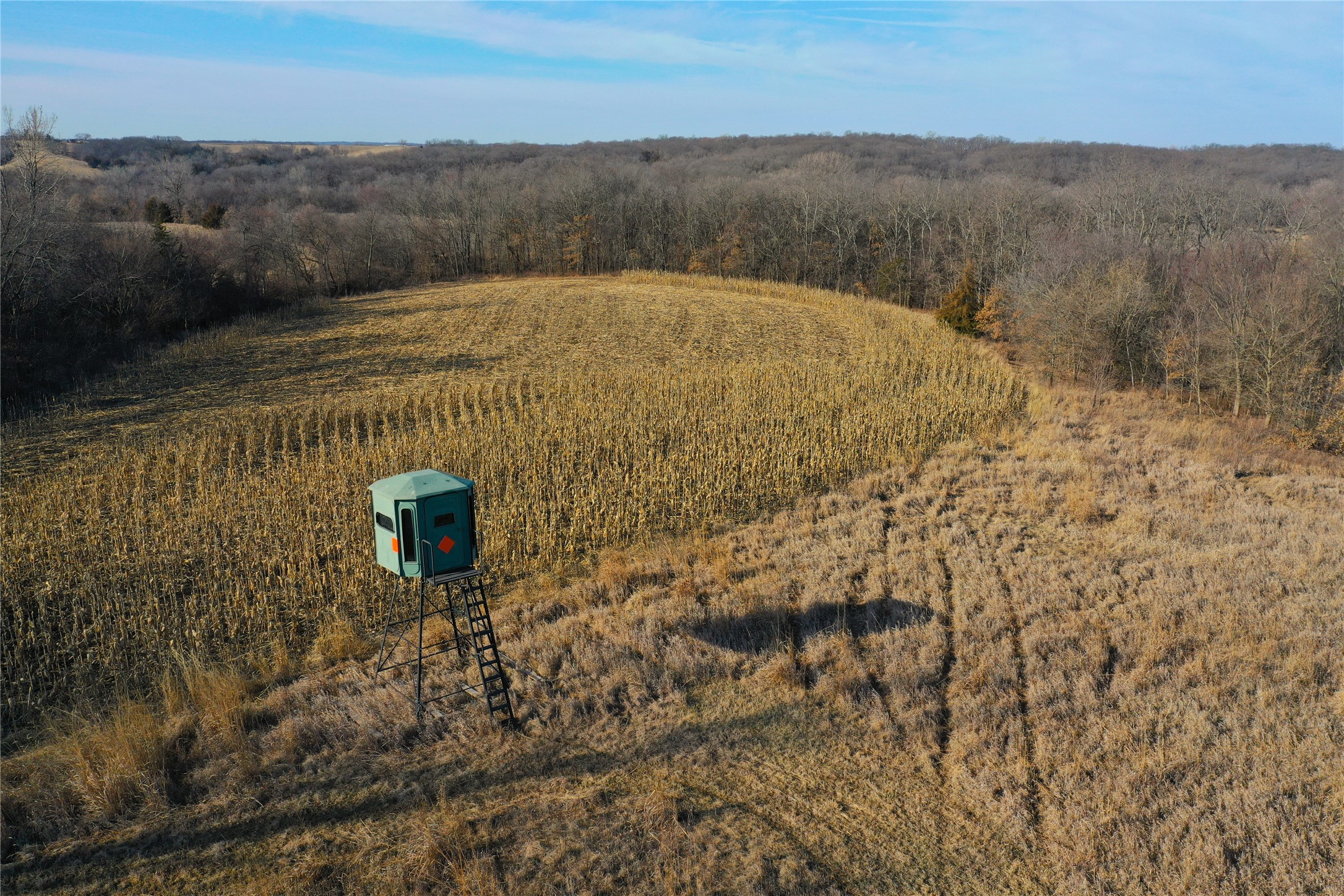 Clarke County Real Estate Listings Main Image