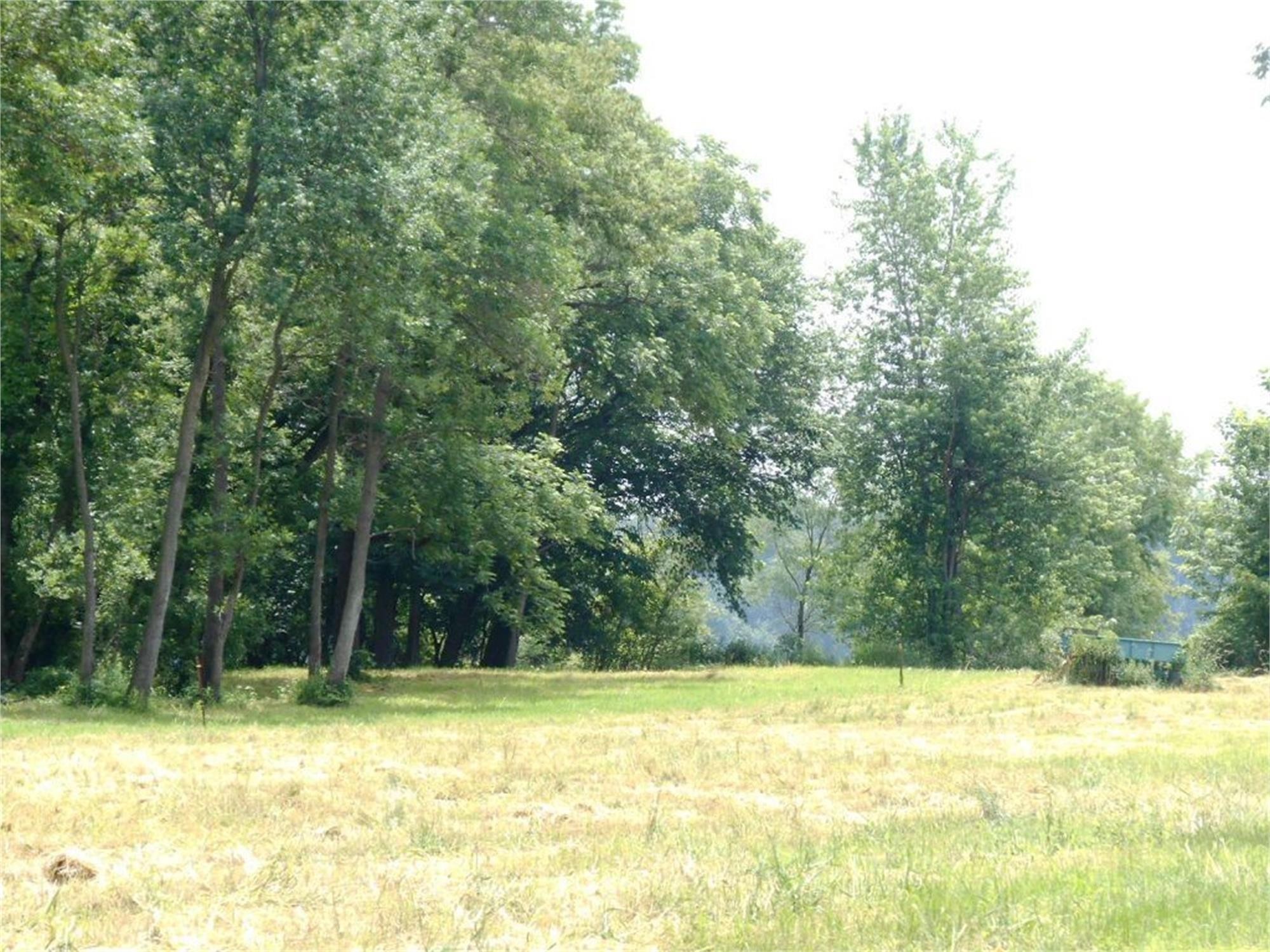 4519 S Concord Street