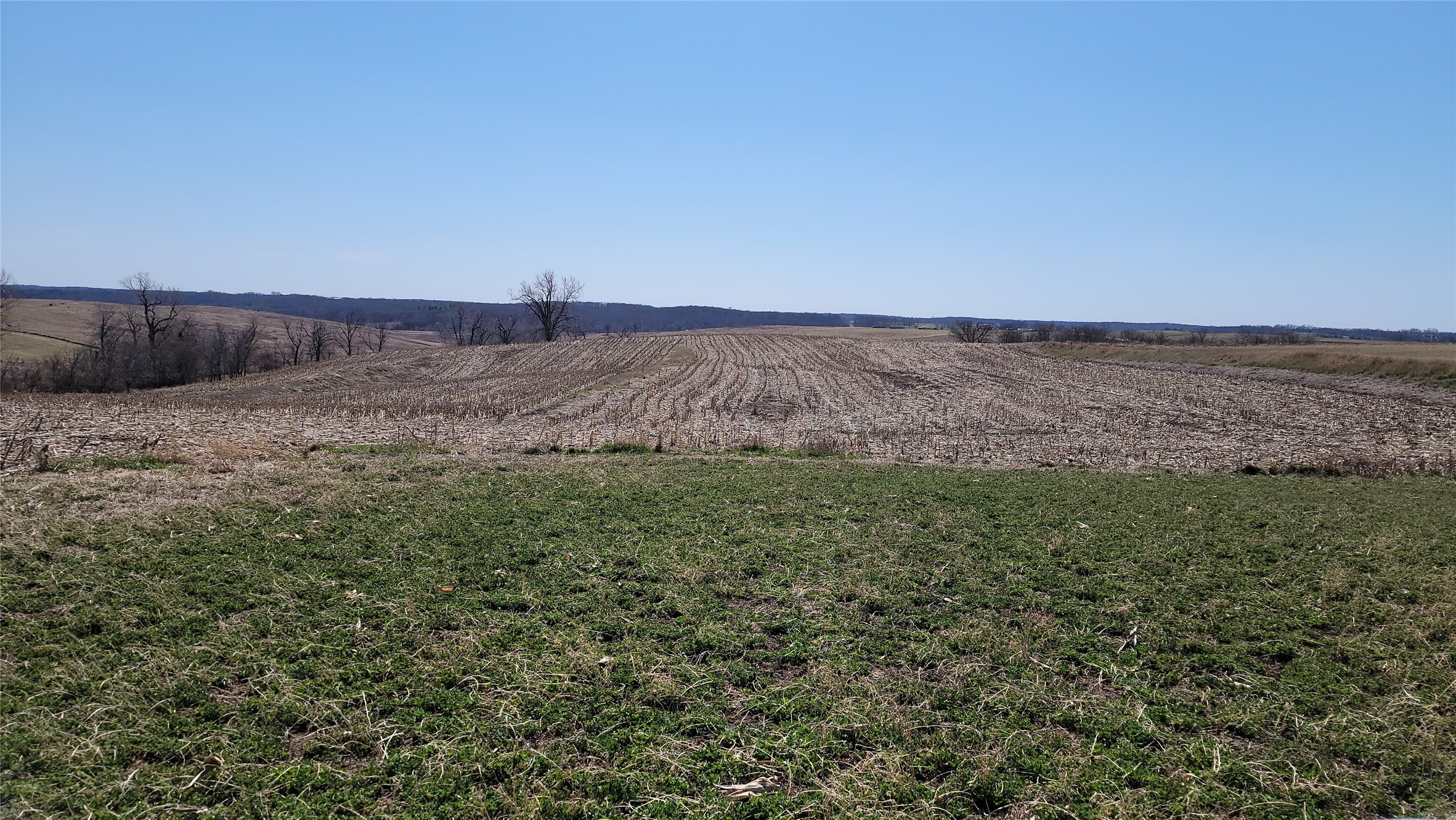 3007 Garst Street Property Photo