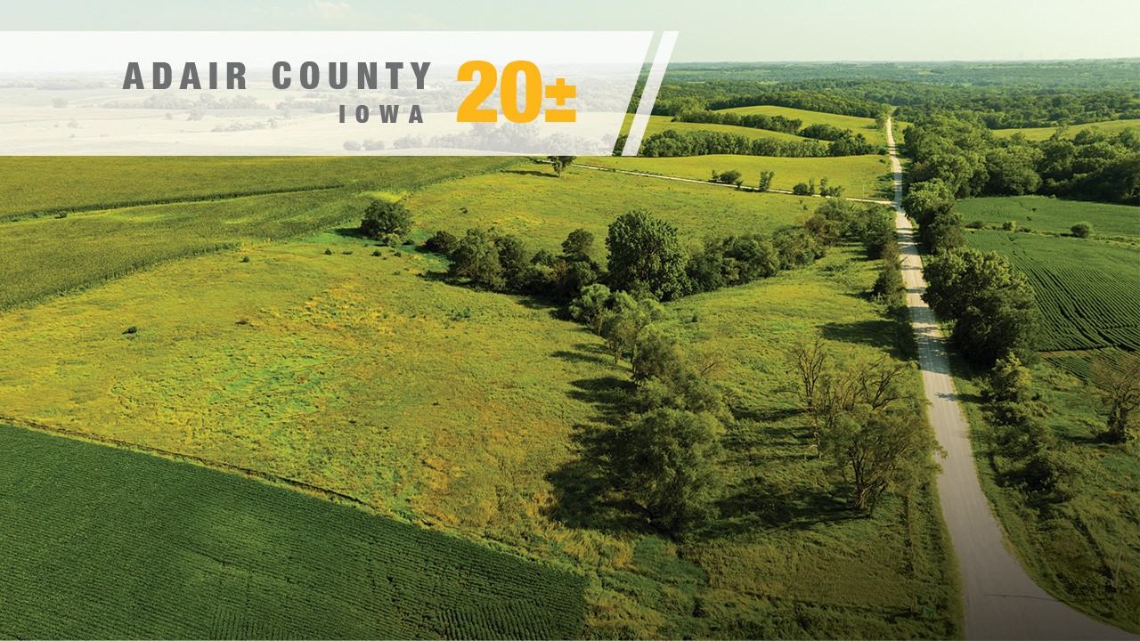 000 York Avenue Property Photo 1