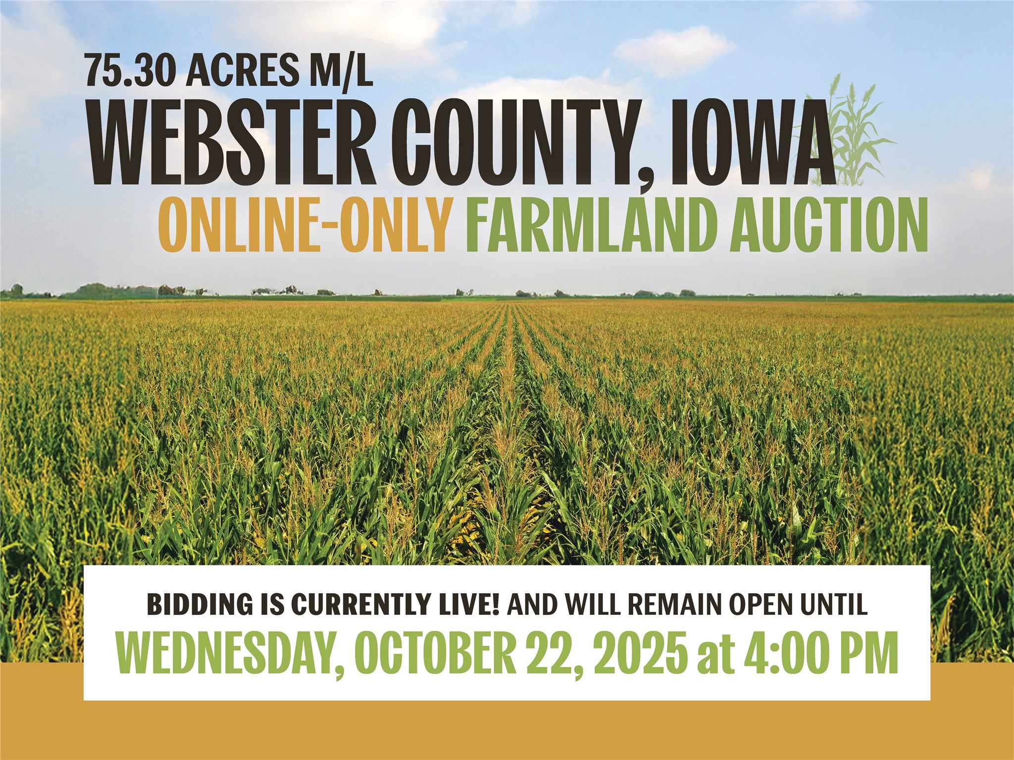 00 380th Street Property Photo 1