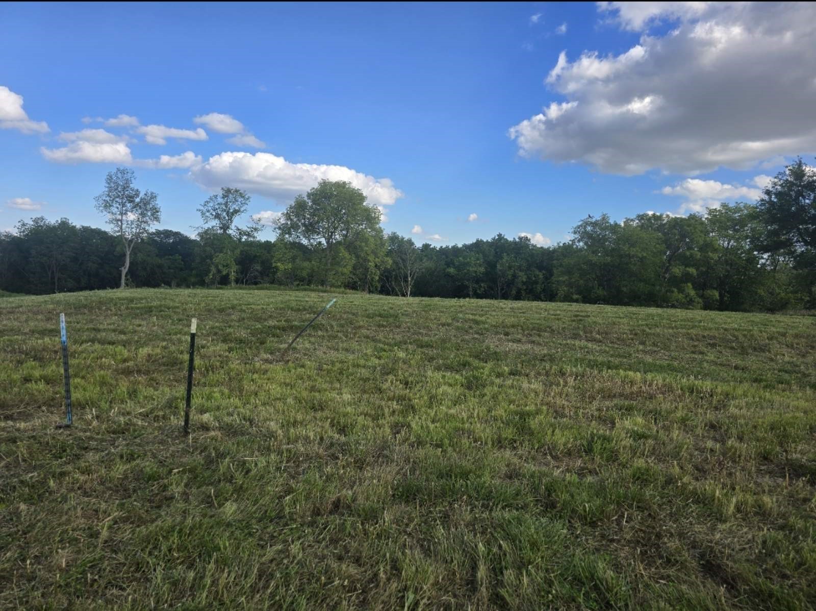 9648 Foxwood Drive Property Photo 1