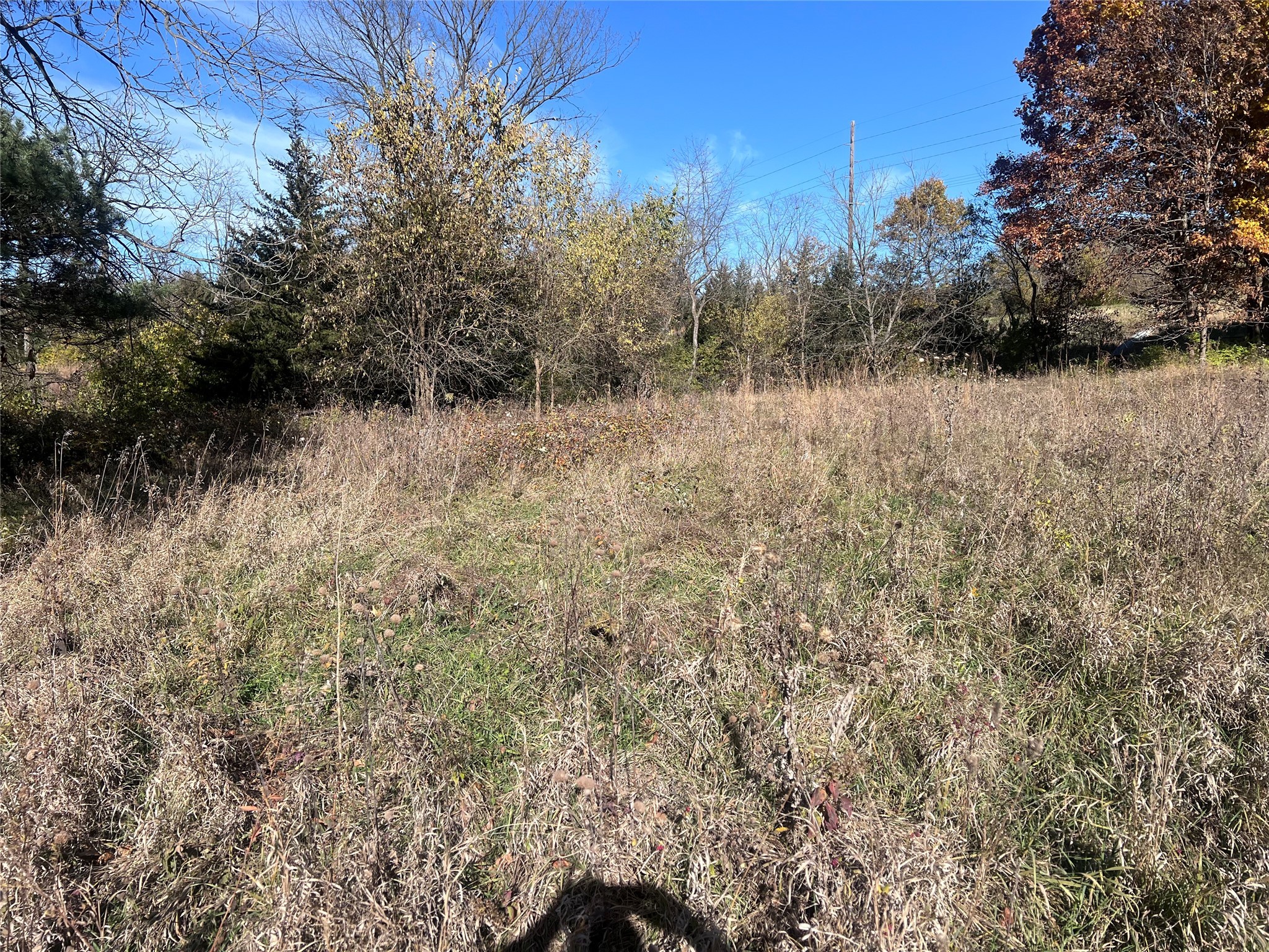 18806 R-57 Highway Property Photo 1