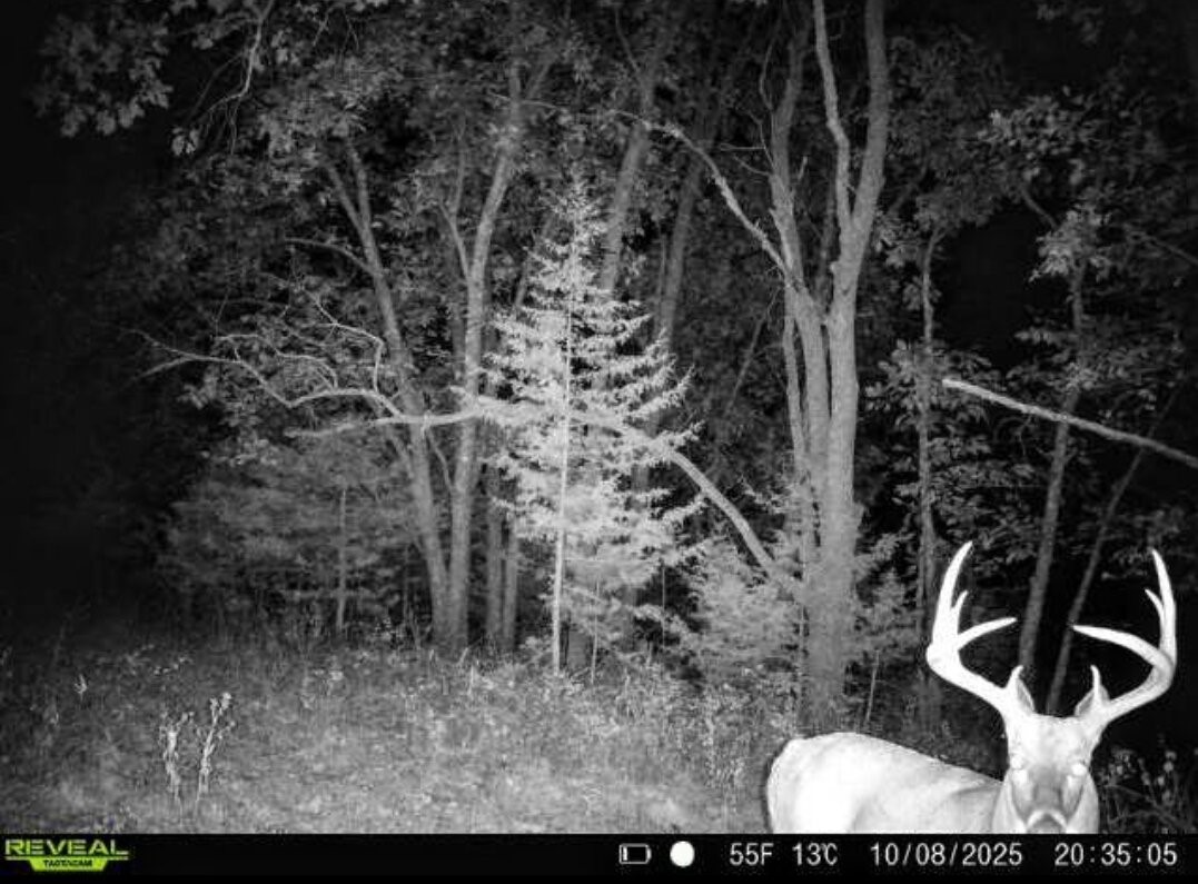 1475 - Lot 2 325th Street Property Photo 4