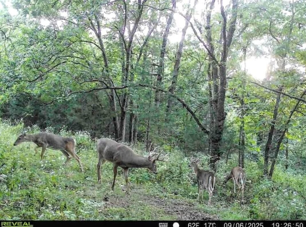1475 - Lot 2 325th Street Property Photo 6
