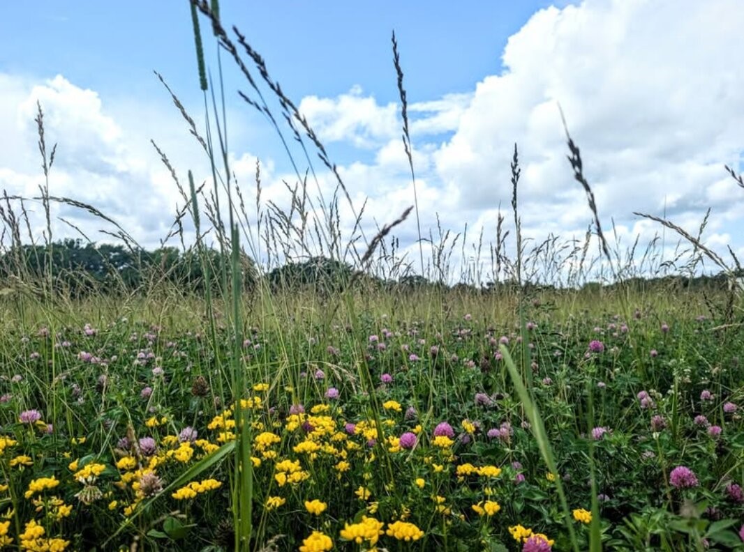 1475 - Lot 2 325th Street Property Photo 8
