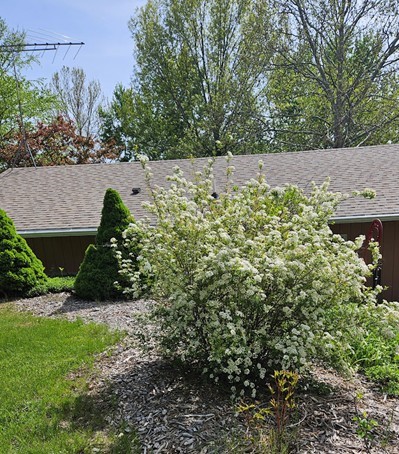 123 Timber Ridge Drive Property Photo 23