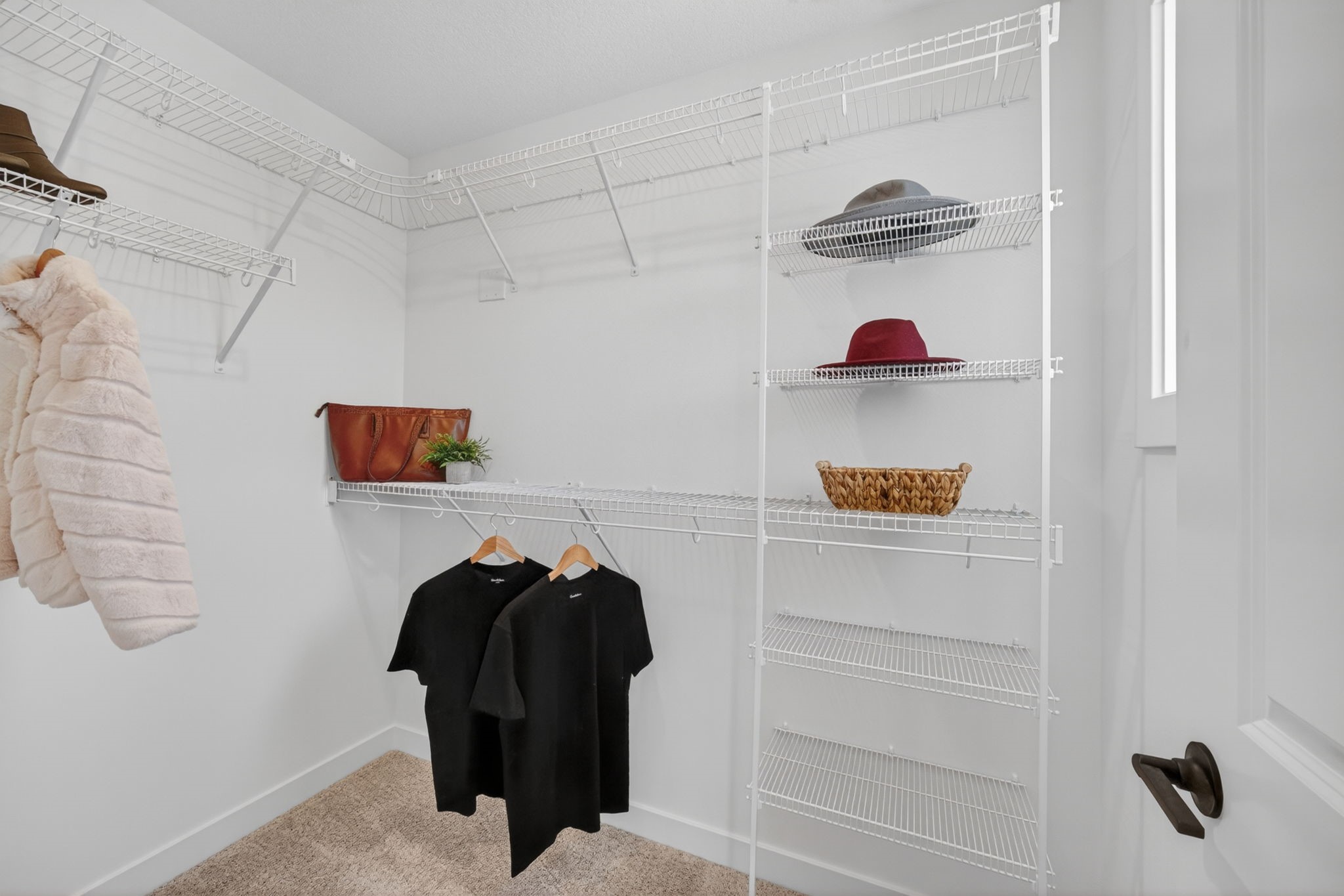 15303 Bellflower Lane Property Photo 23