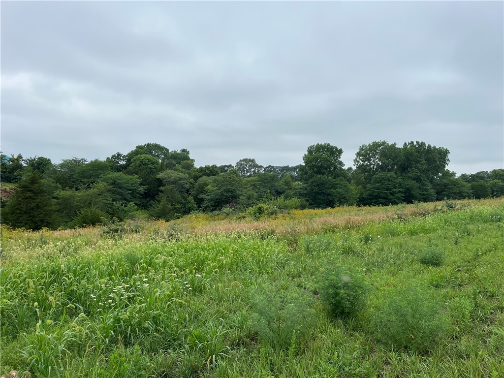 2211 Cedar Bridge Road Property Photo 5