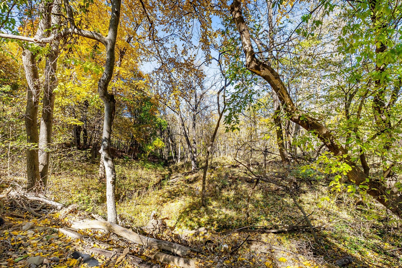 3111 Leado Avenue Property Photo 35