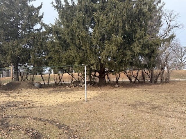 1301 6th Street Property Photo 5