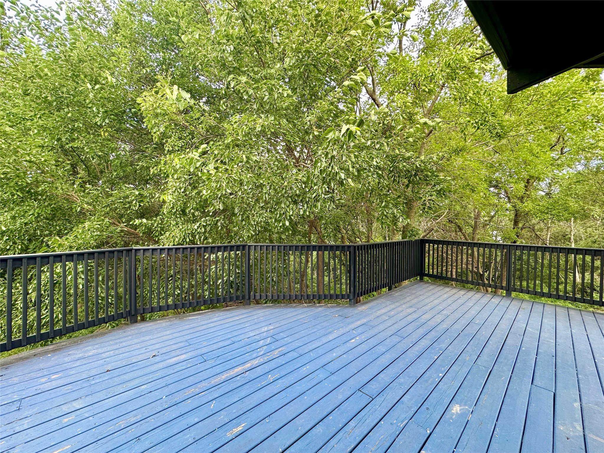 1305 Holiday Lane Property Photo 3