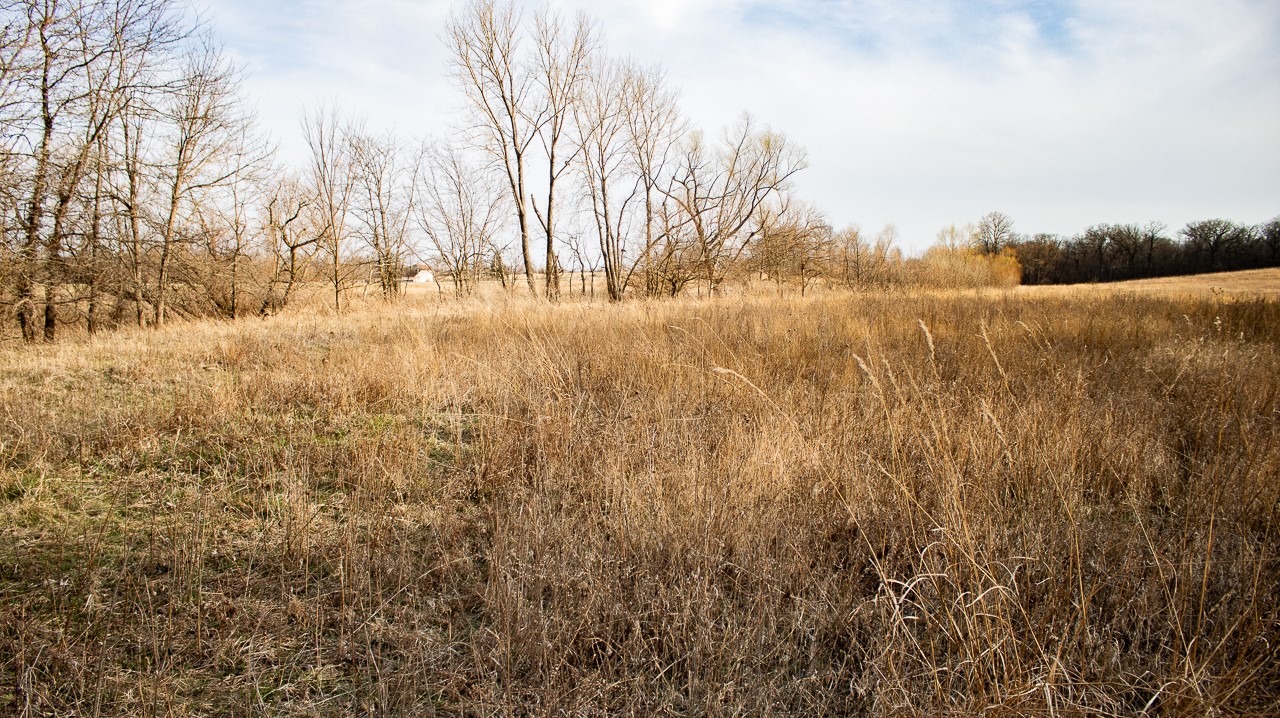 11881 County V43 Road Property Photo 6