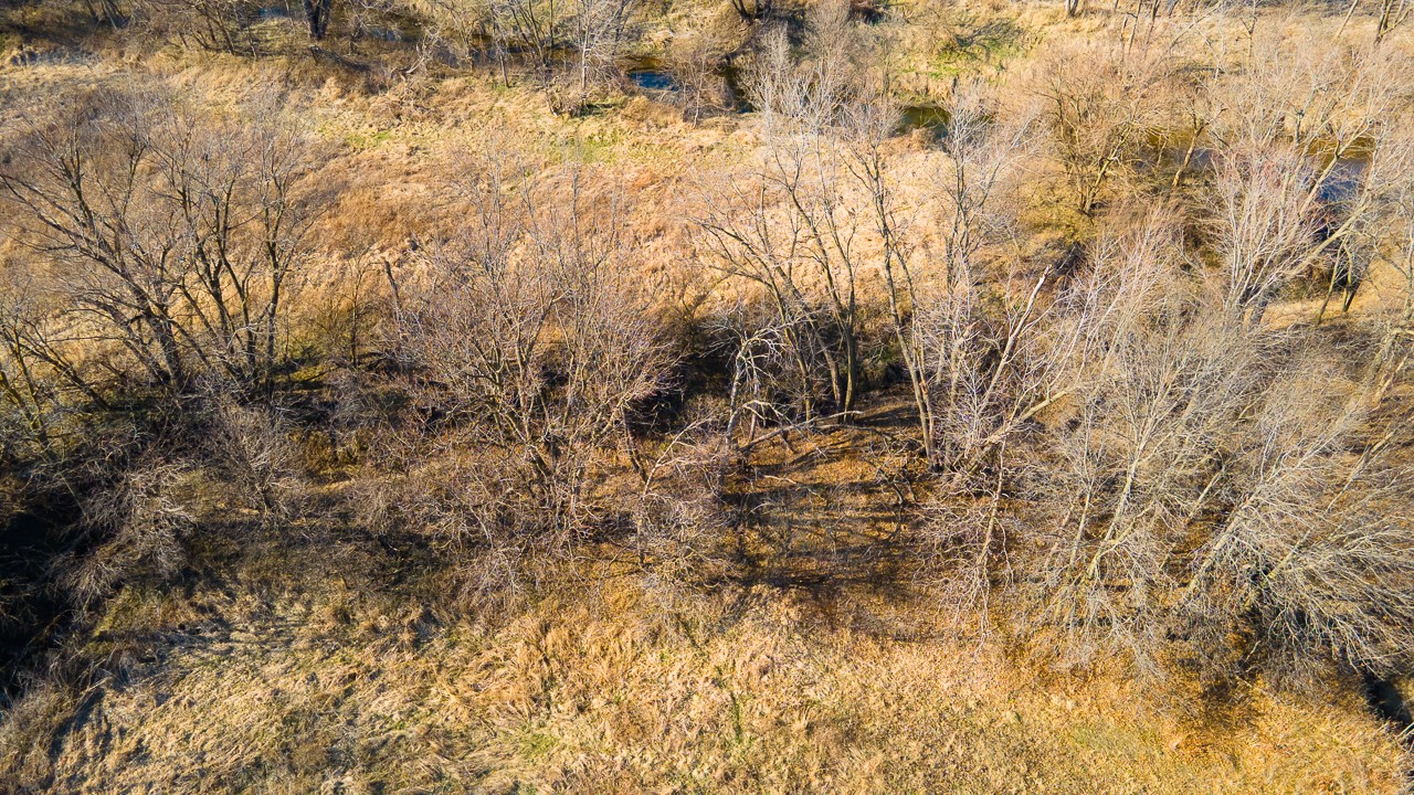 11881 County V43 Road Property Photo 19