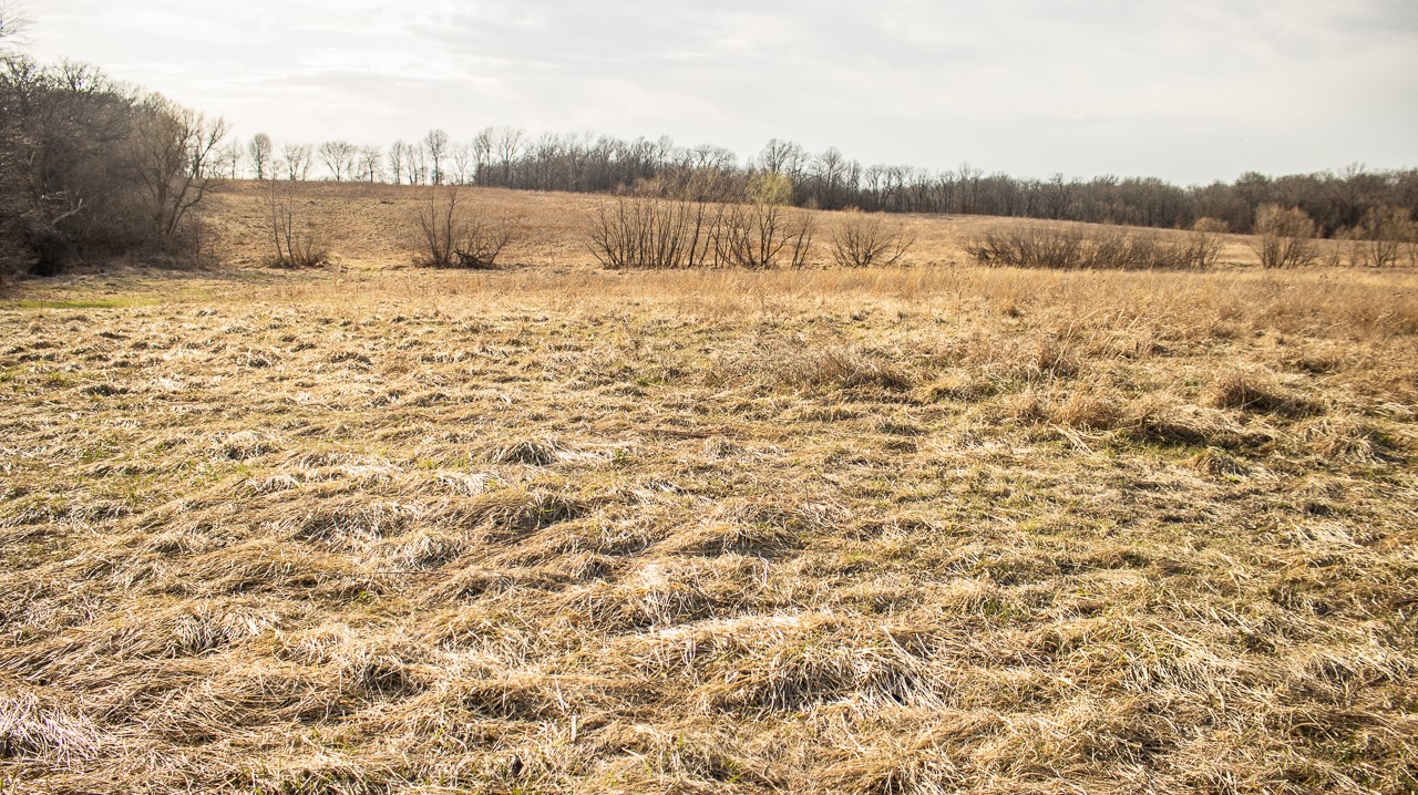 11881 County V43 Road Property Photo 21