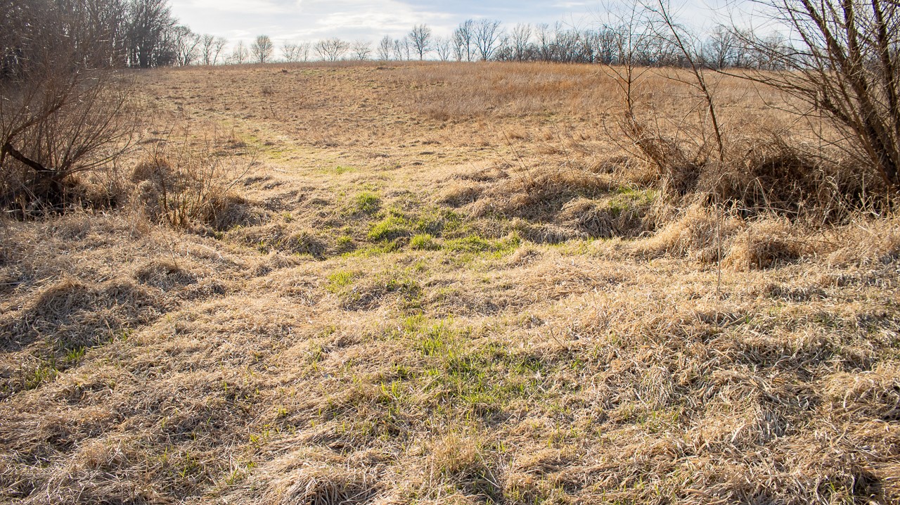 11881 County V43 Road Property Photo 23