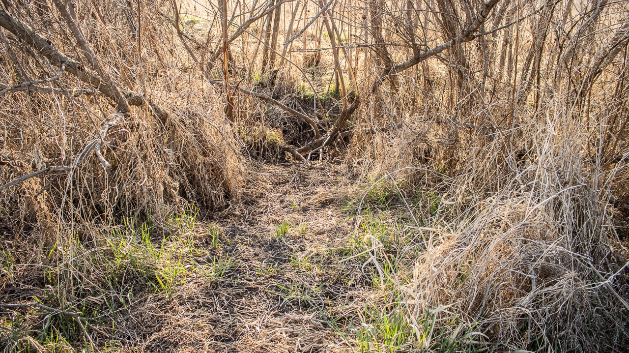 11881 County V43 Road Property Photo 24