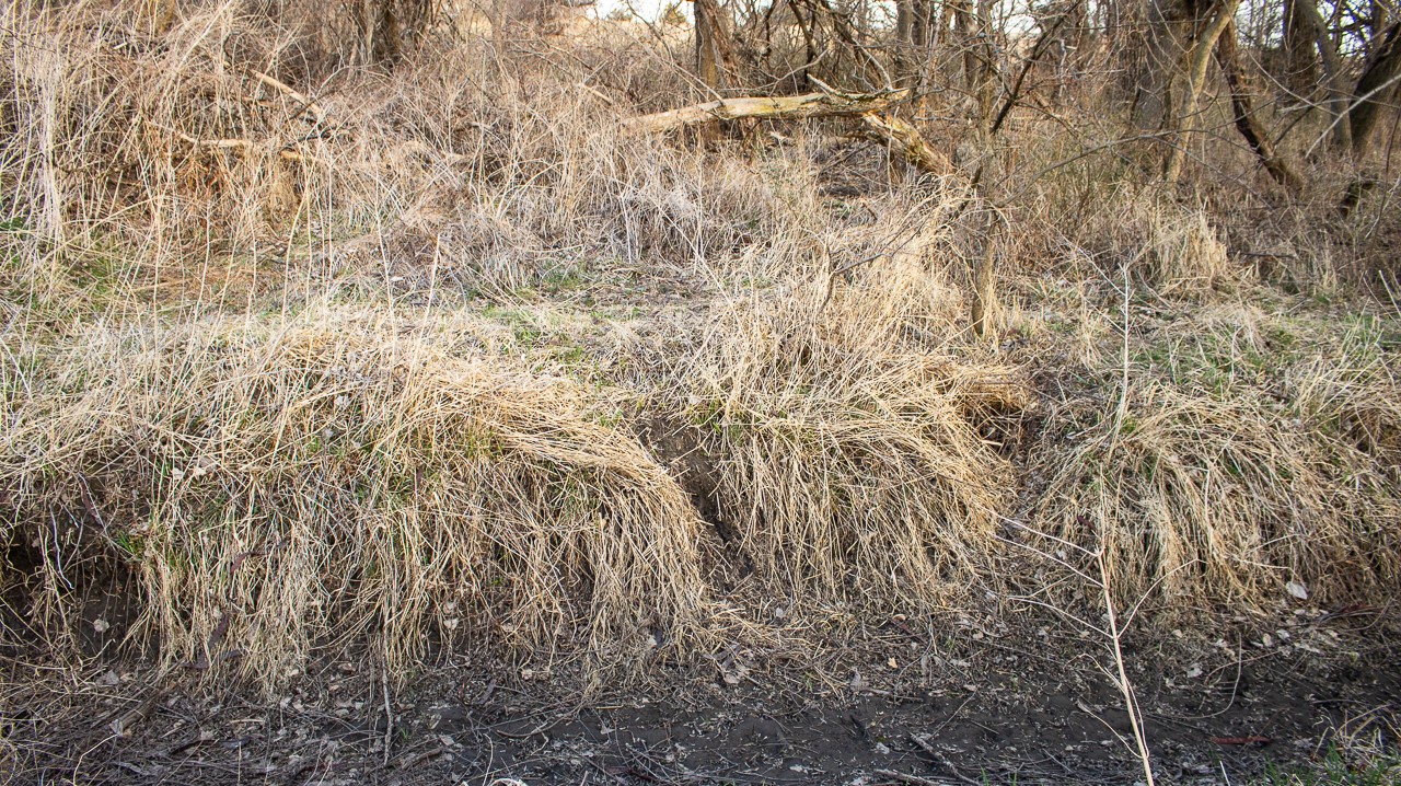 11881 County V43 Road Property Photo 25