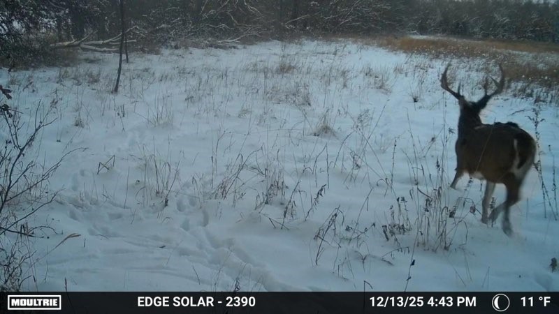11881 County V43 Road Property Photo 33