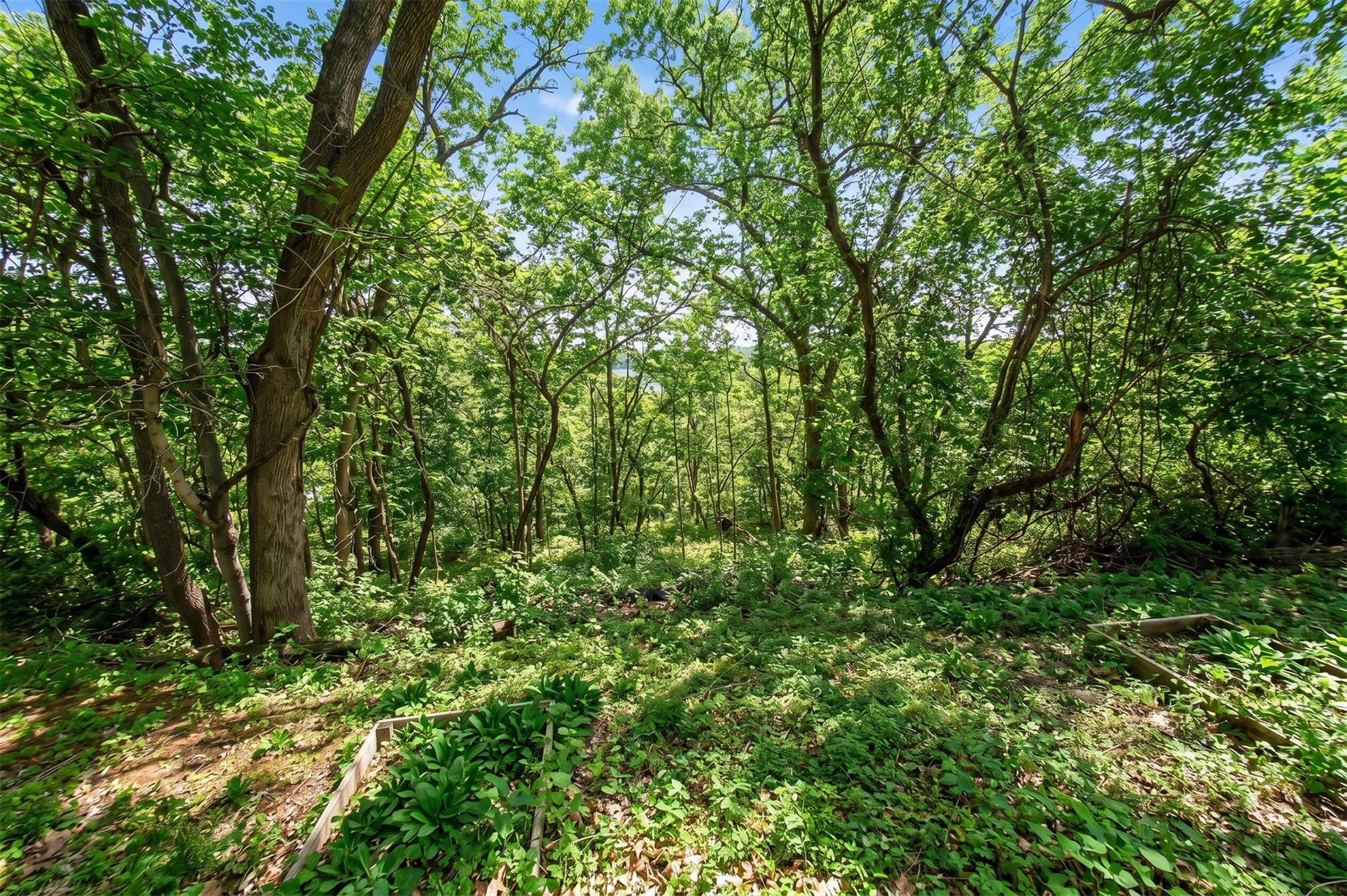 3515 Skyline Drive Property Photo 31