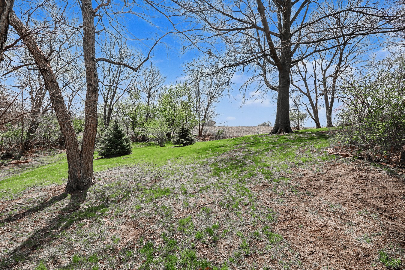 1207 Bruce Lane Property Photo 25