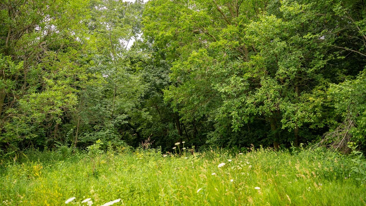 0000 Mining Boulevard Property Photo 14