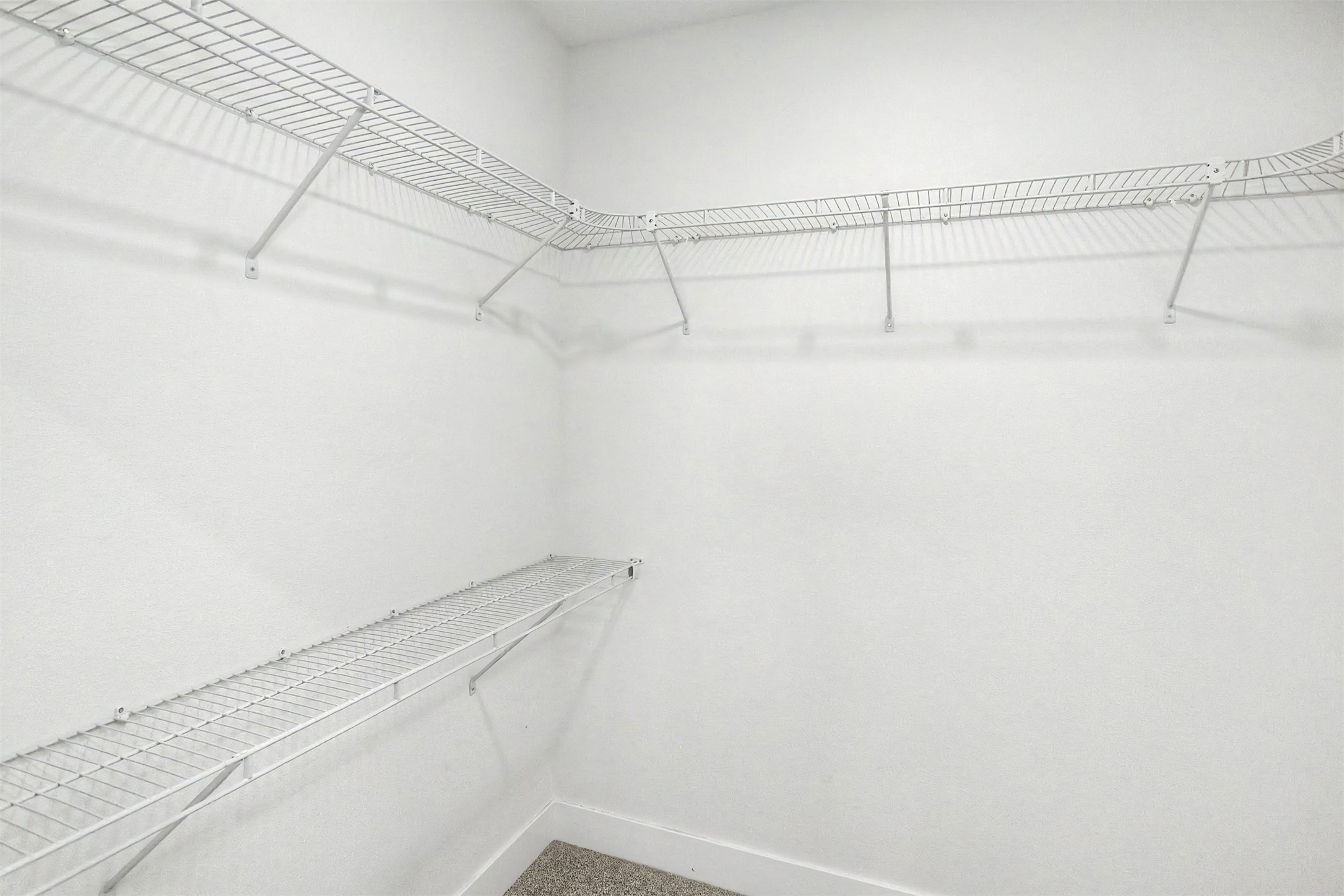 521 Greene Street Property Photo 18