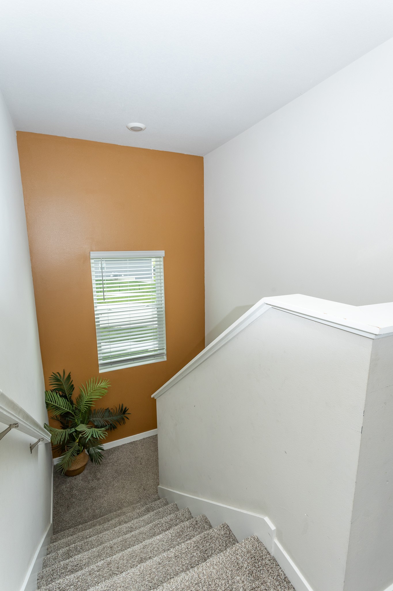 1115 Spruce Street Property Photo 26