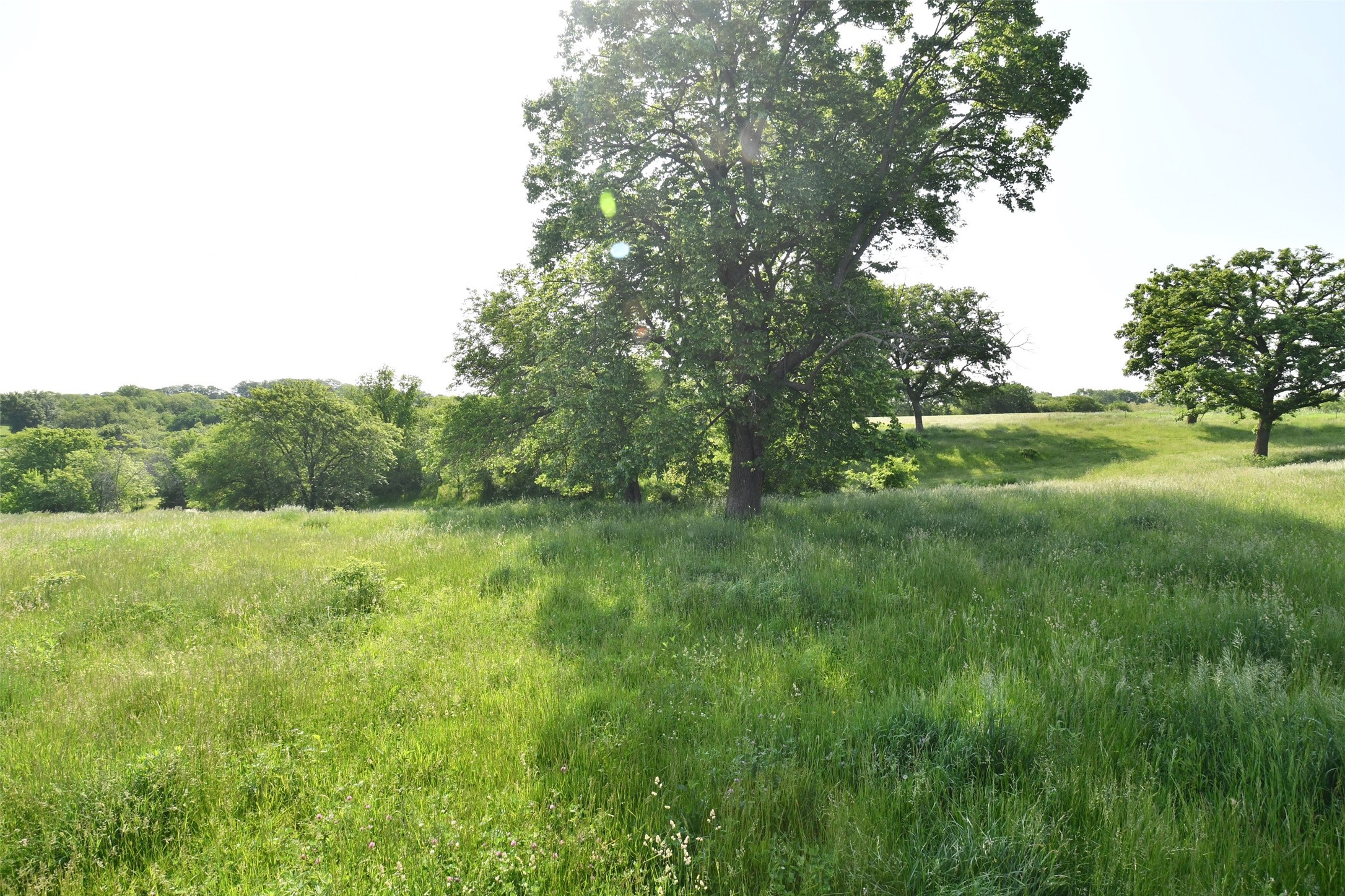 01 S23 Highway Property Photo 6