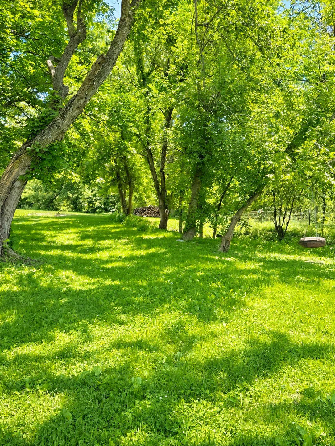 51361 192nd Trail Property Photo 7