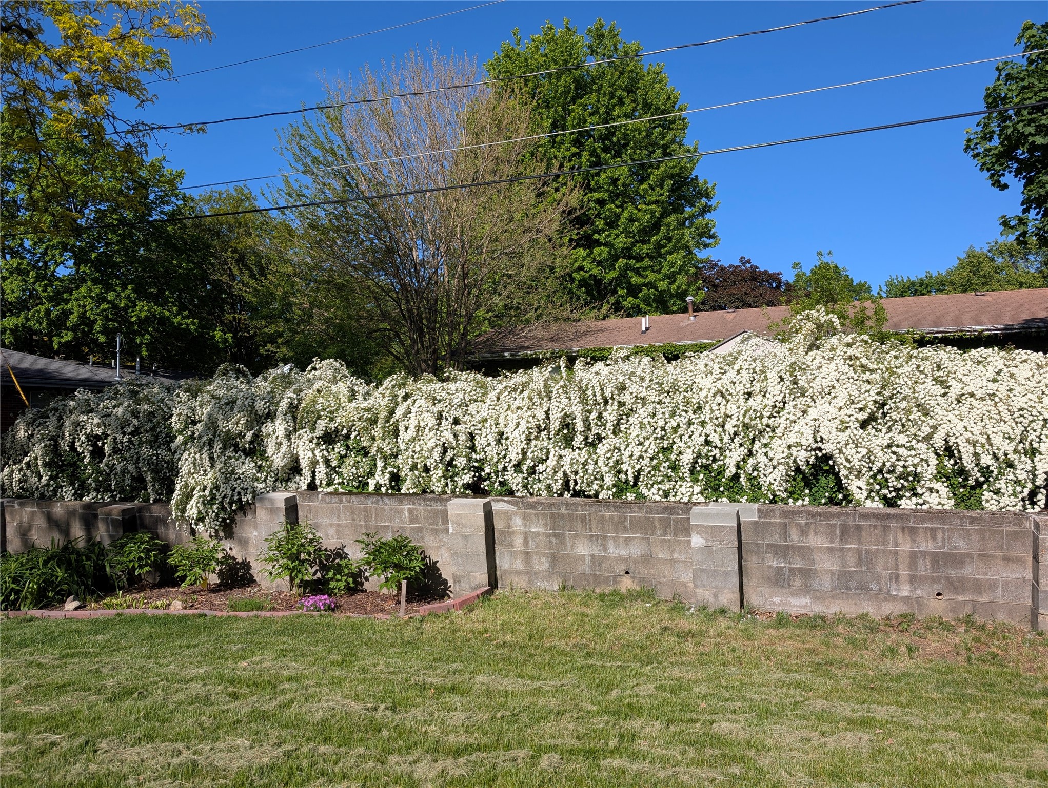 1411 Glendale Avenue Property Photo 32