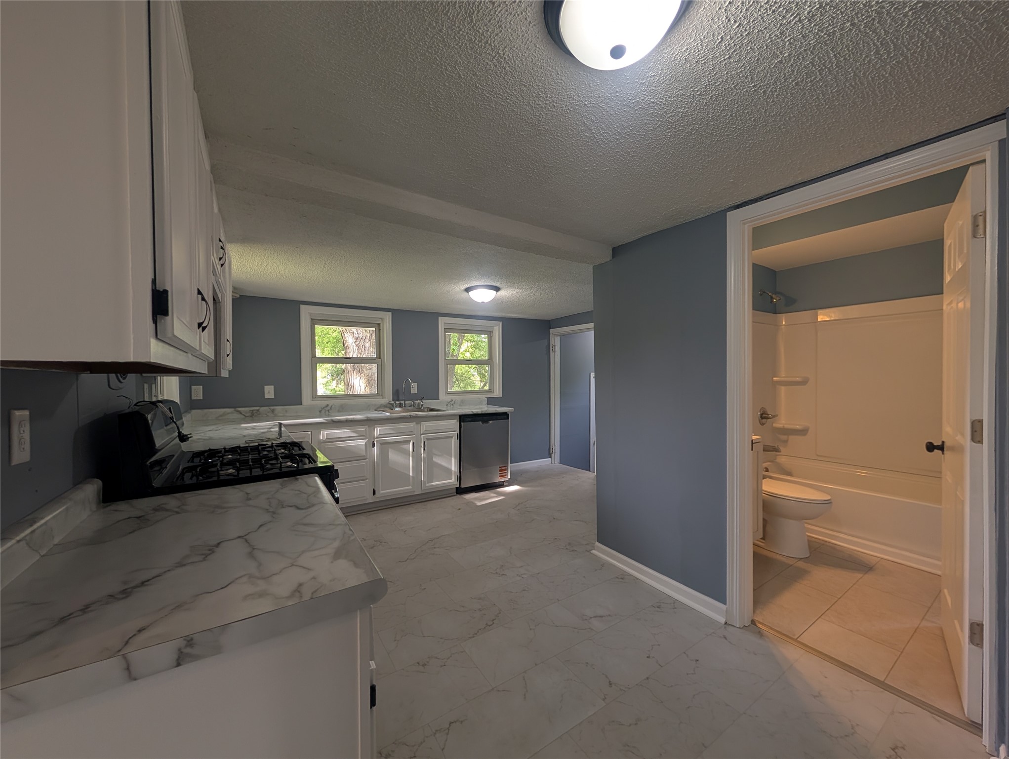 423 E Washington Street Property Photo 3