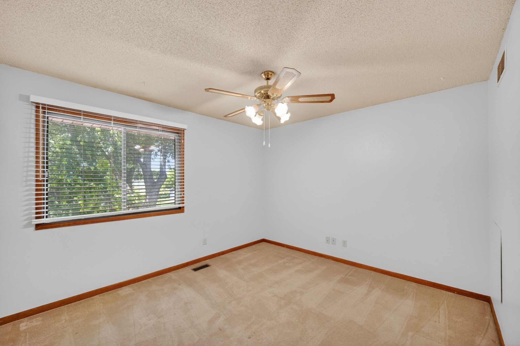 157 52nd Street Property Photo 20